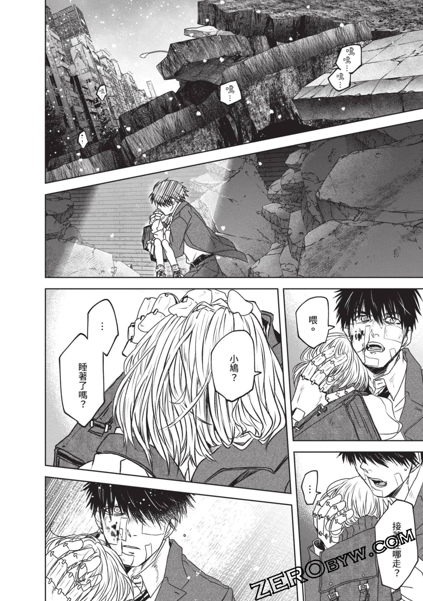 Page 101
