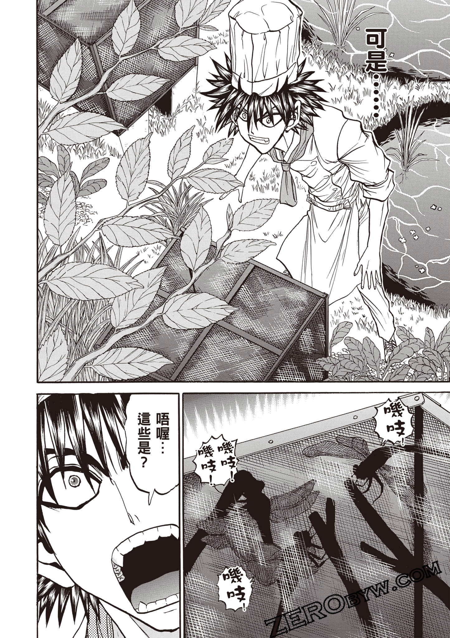 Page 43