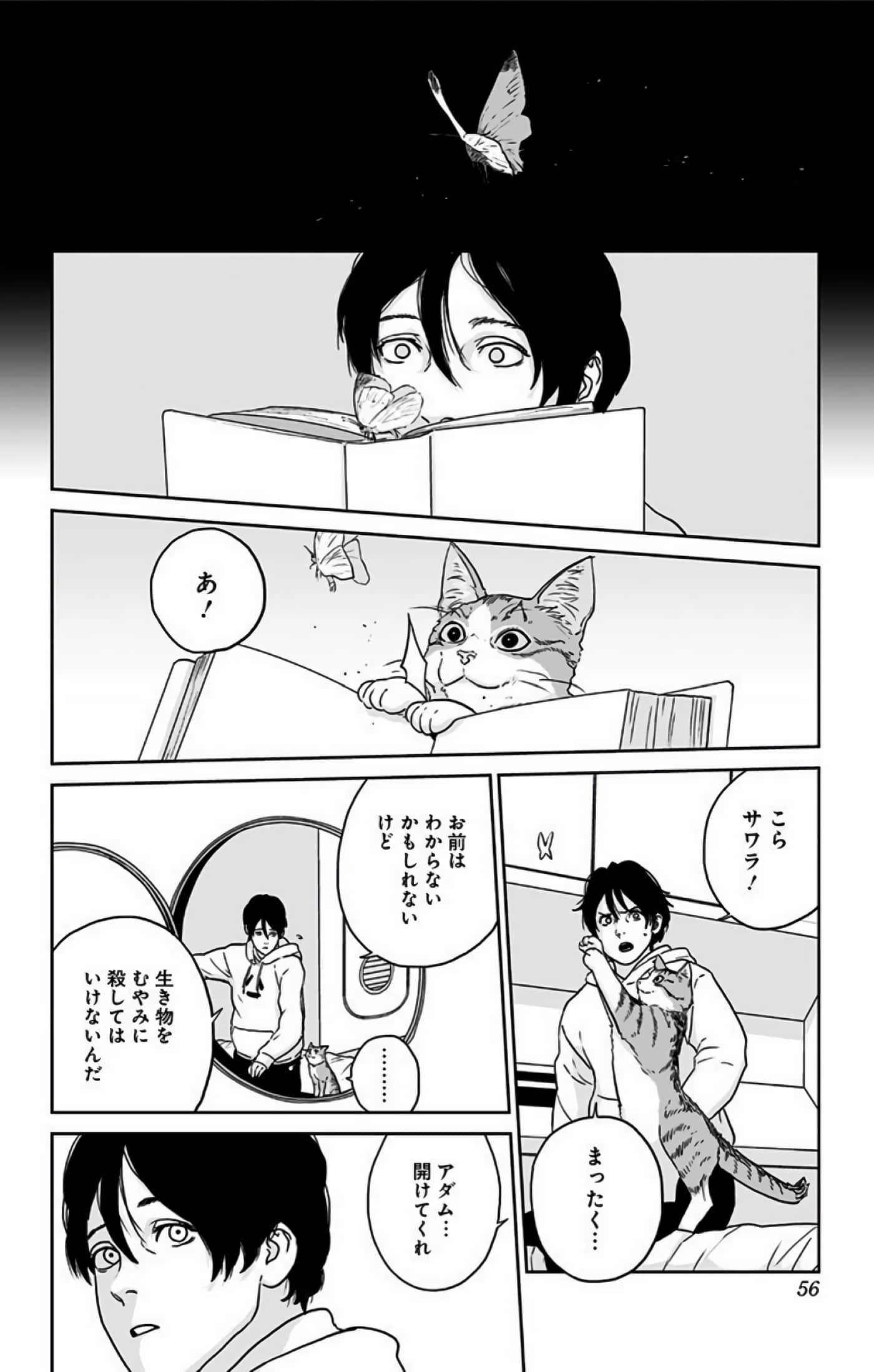 Page 55