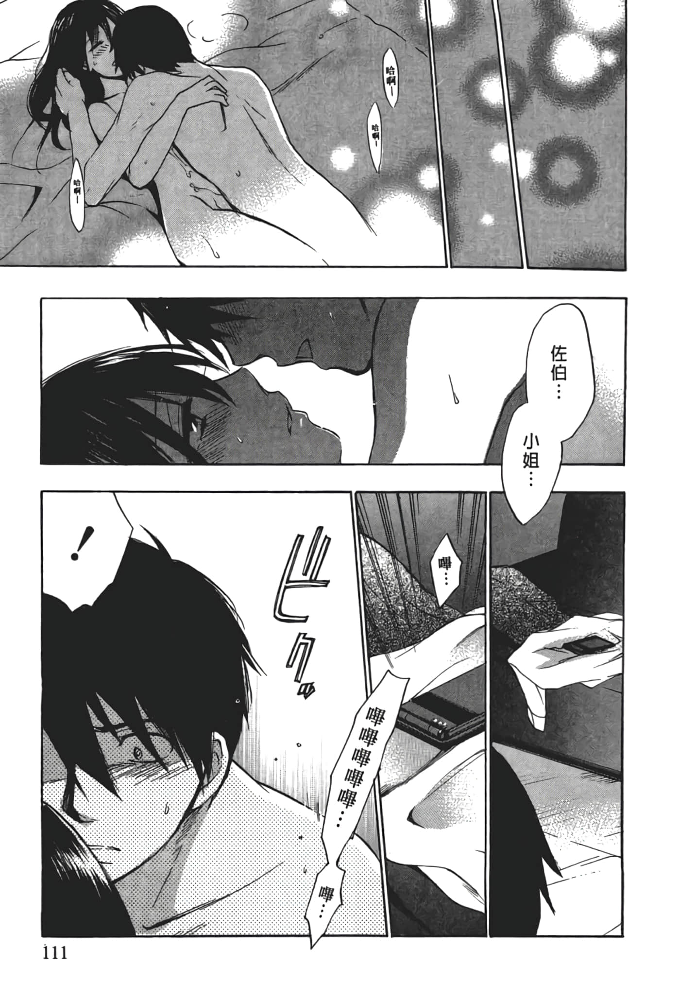 Page 111