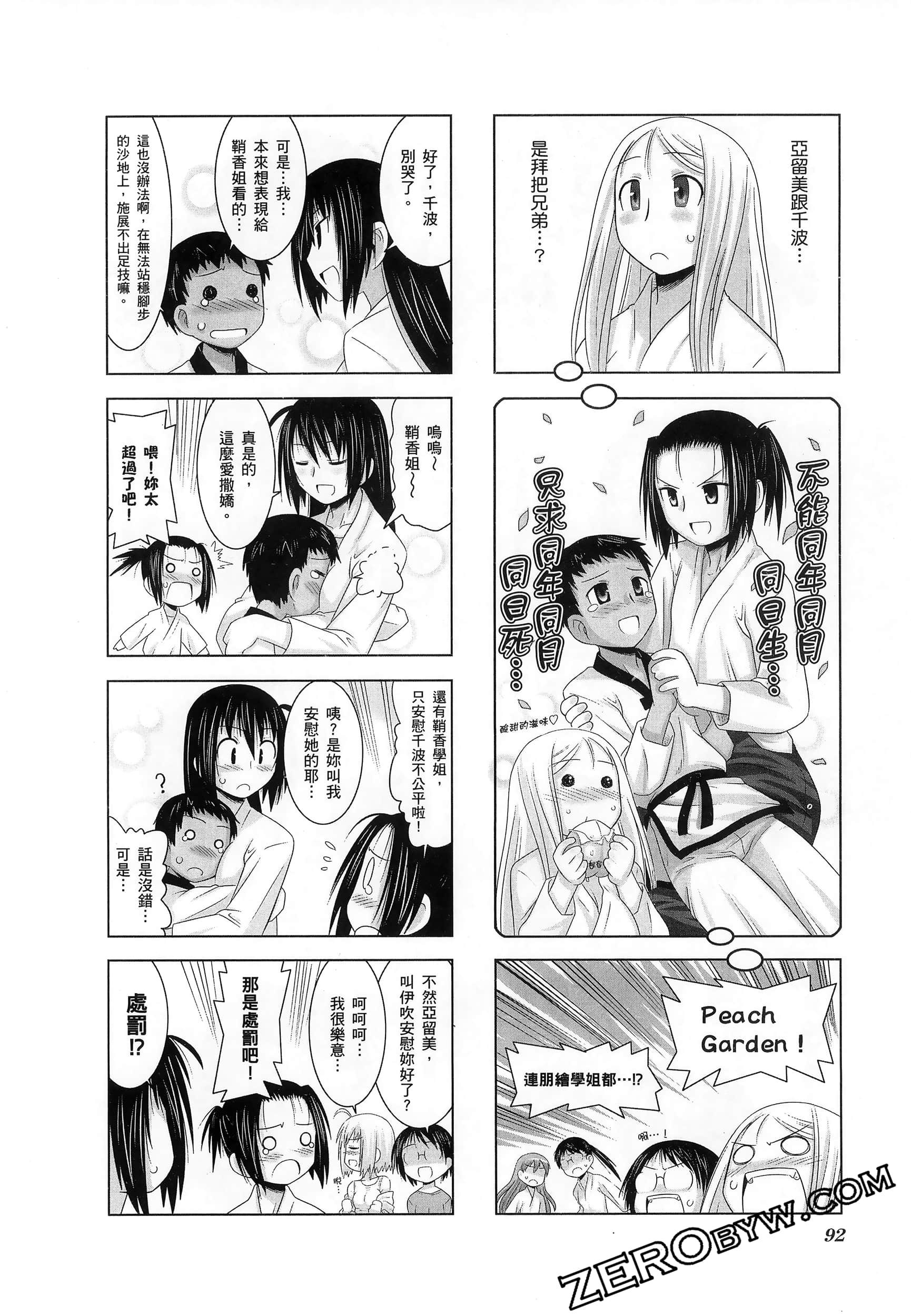 第 96 页