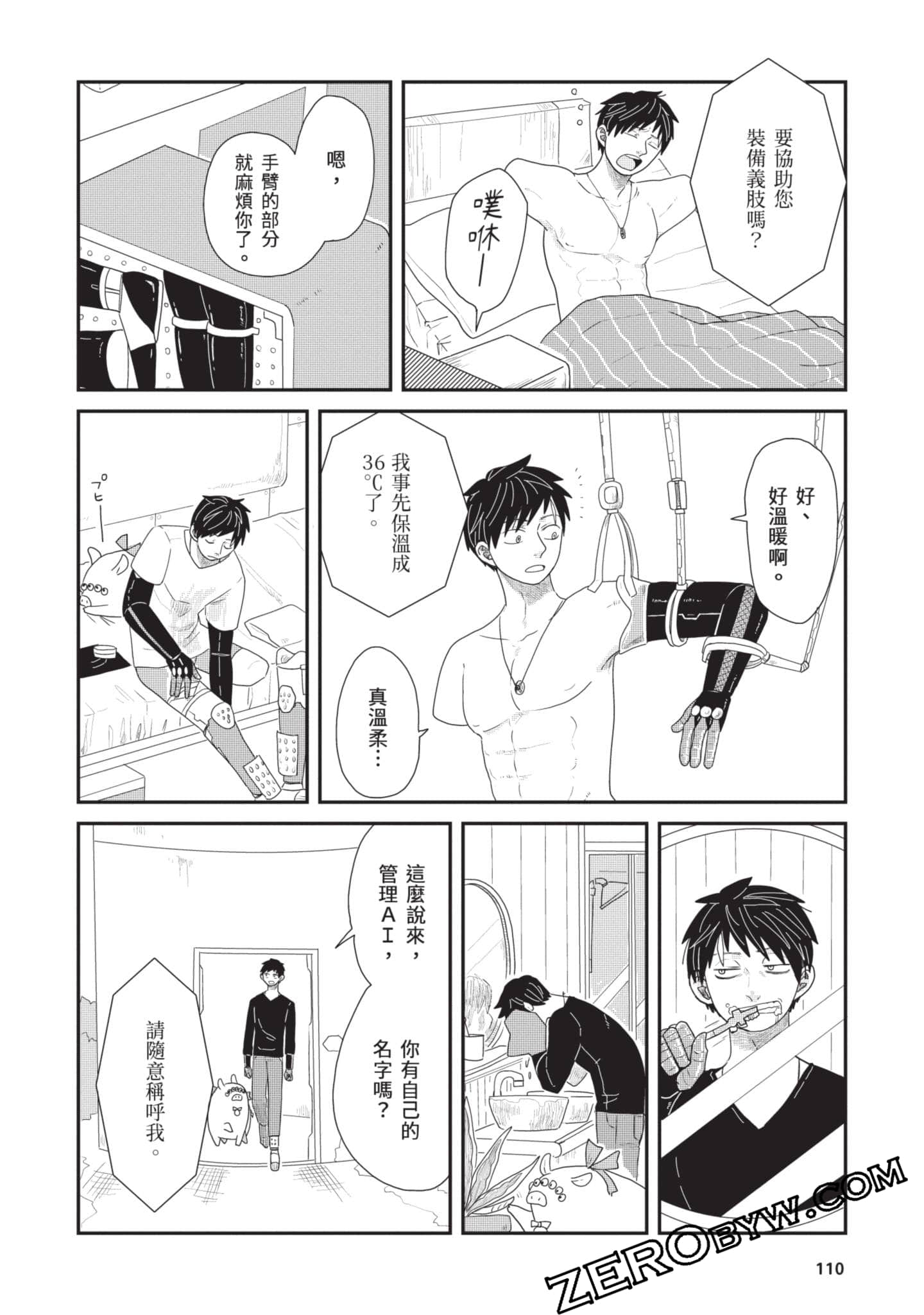 Page 111