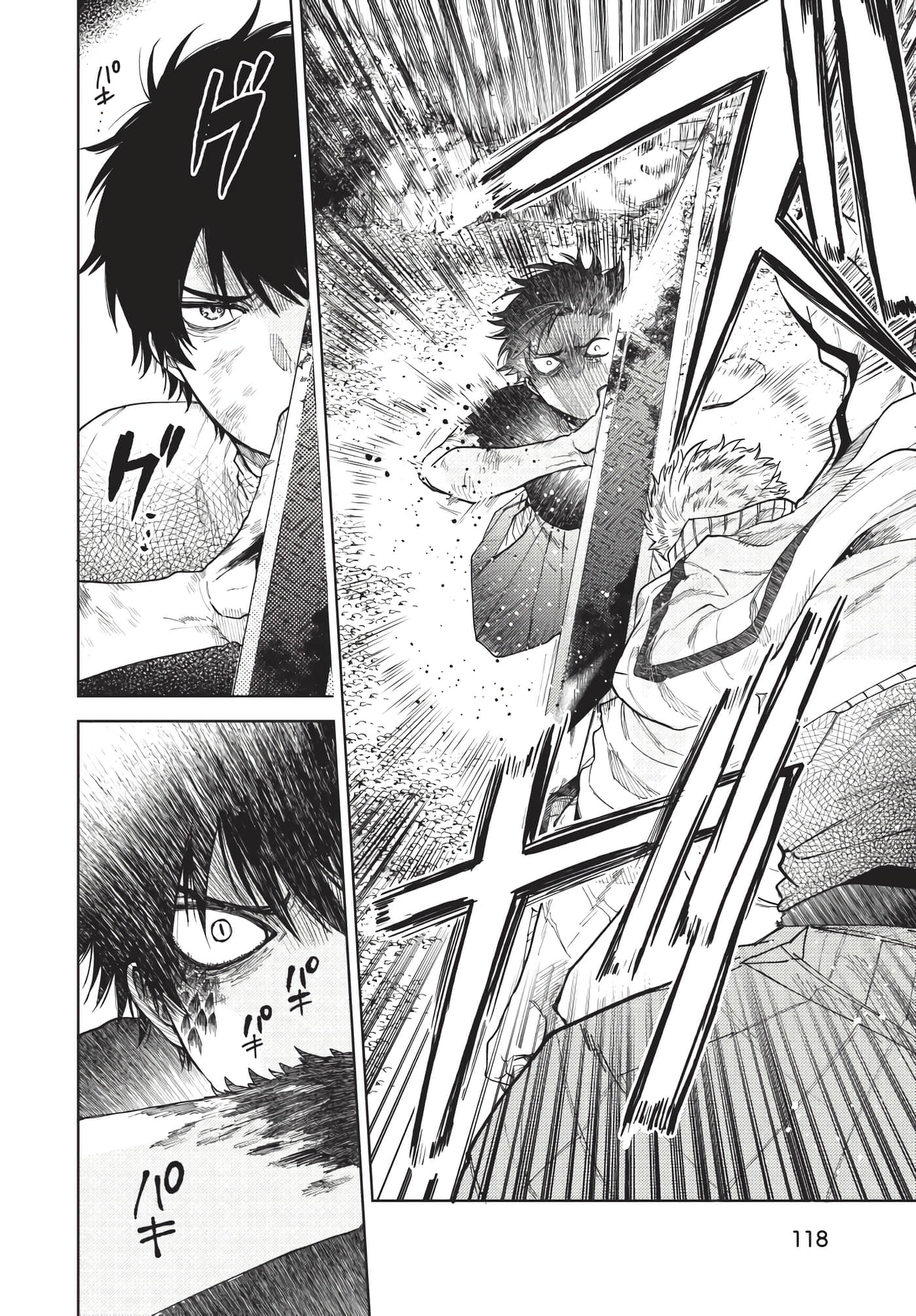 Page 119