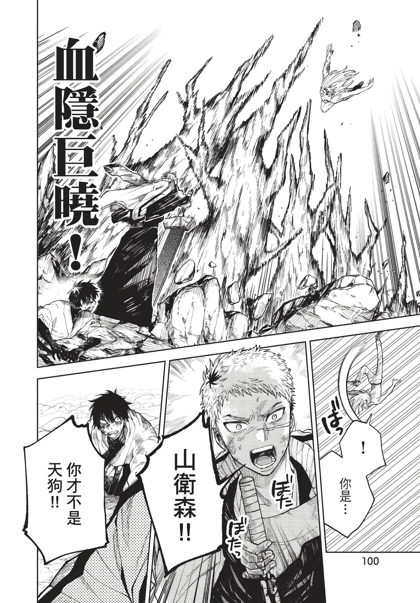 Page 101
