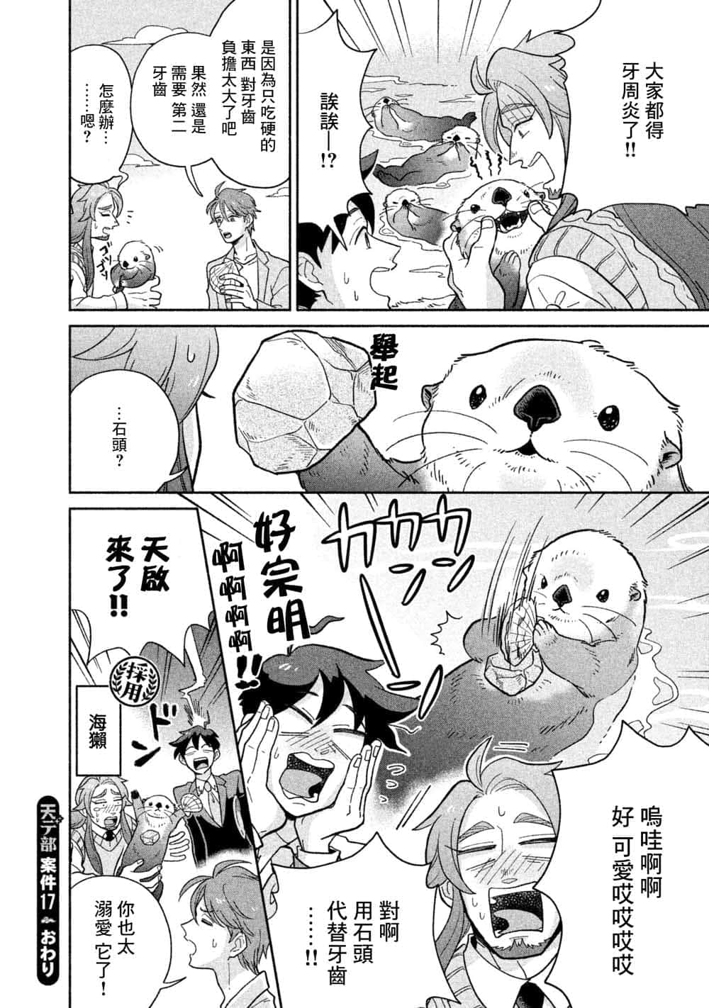 第 17 页