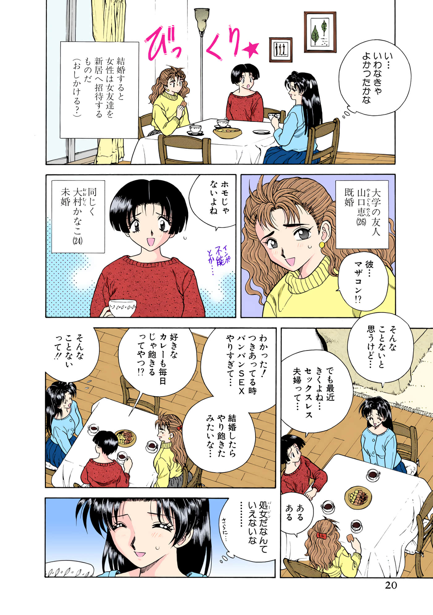 第 21 页
