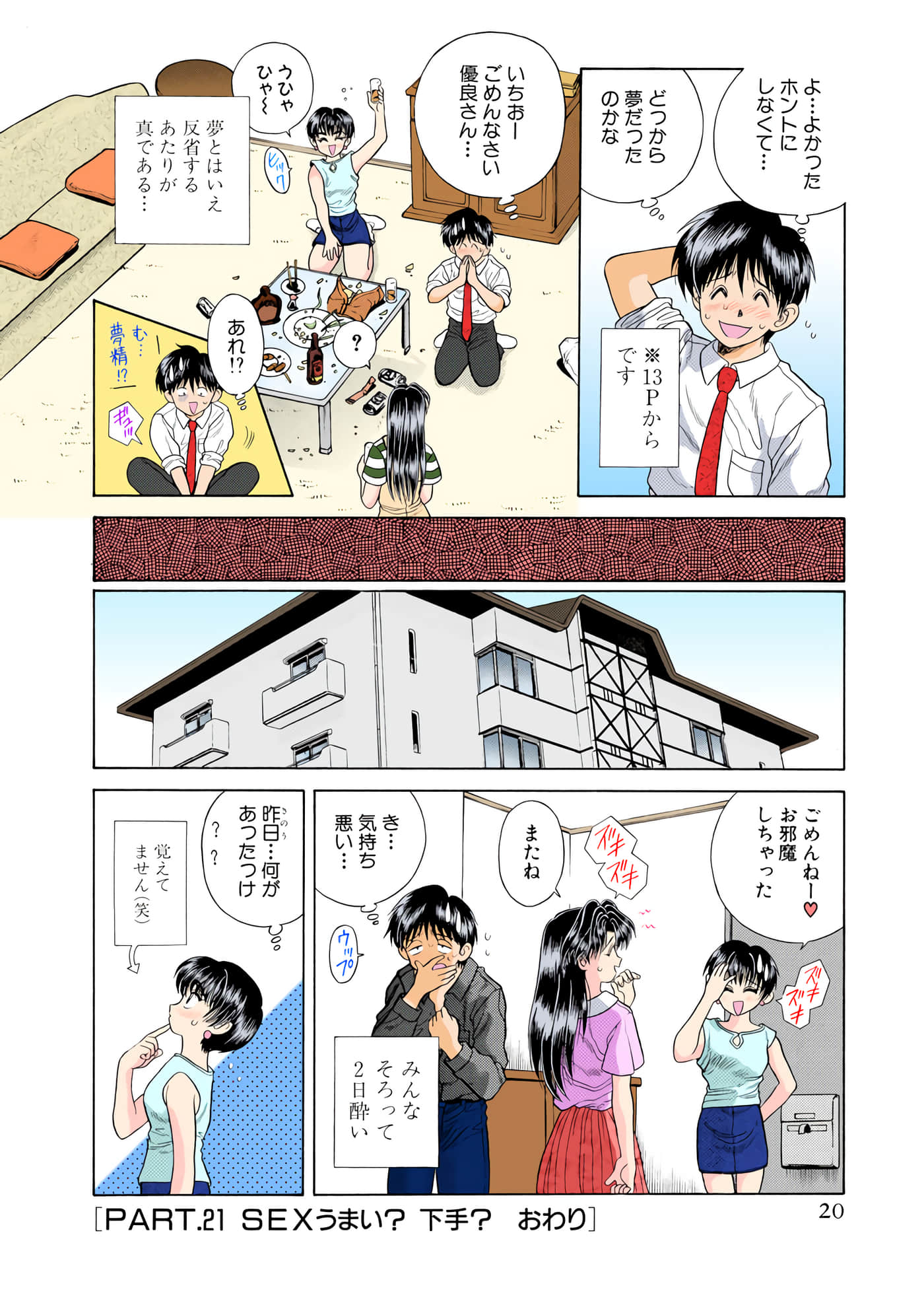 第 21 页