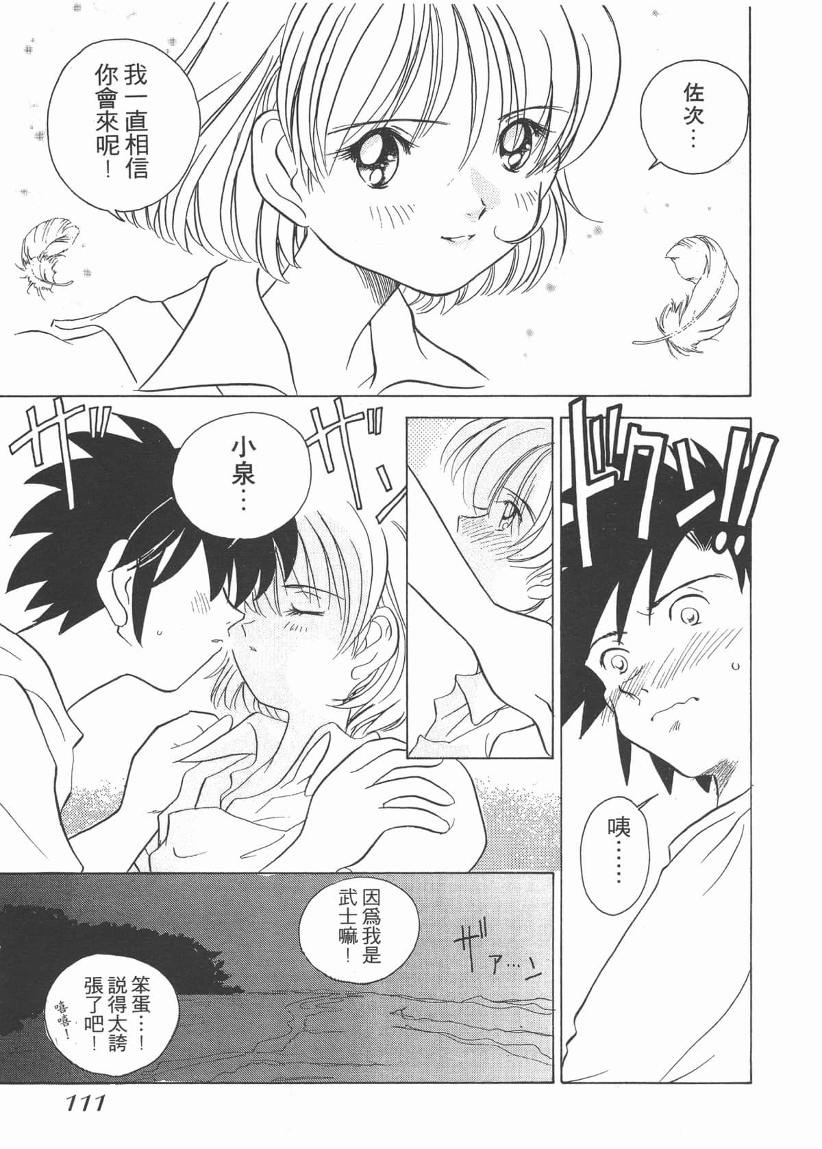 Page 111