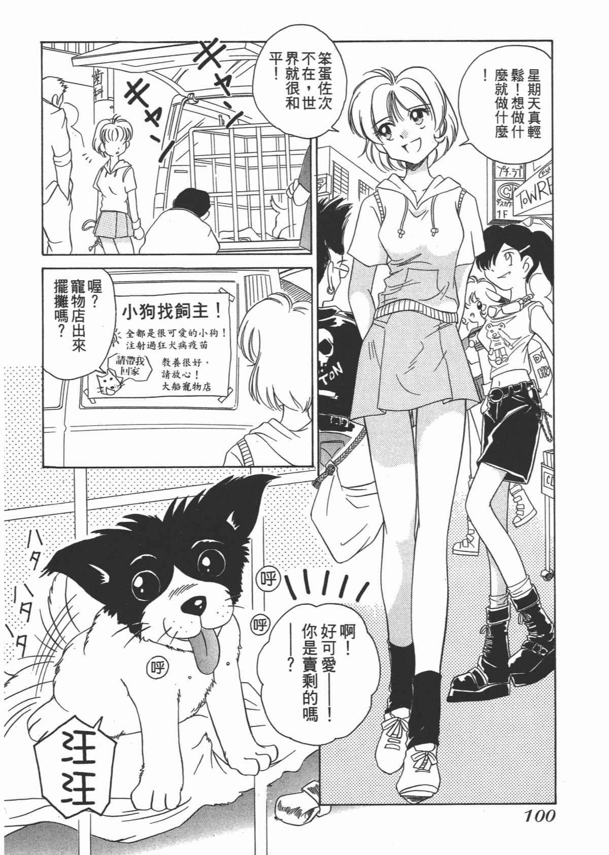 Page 102