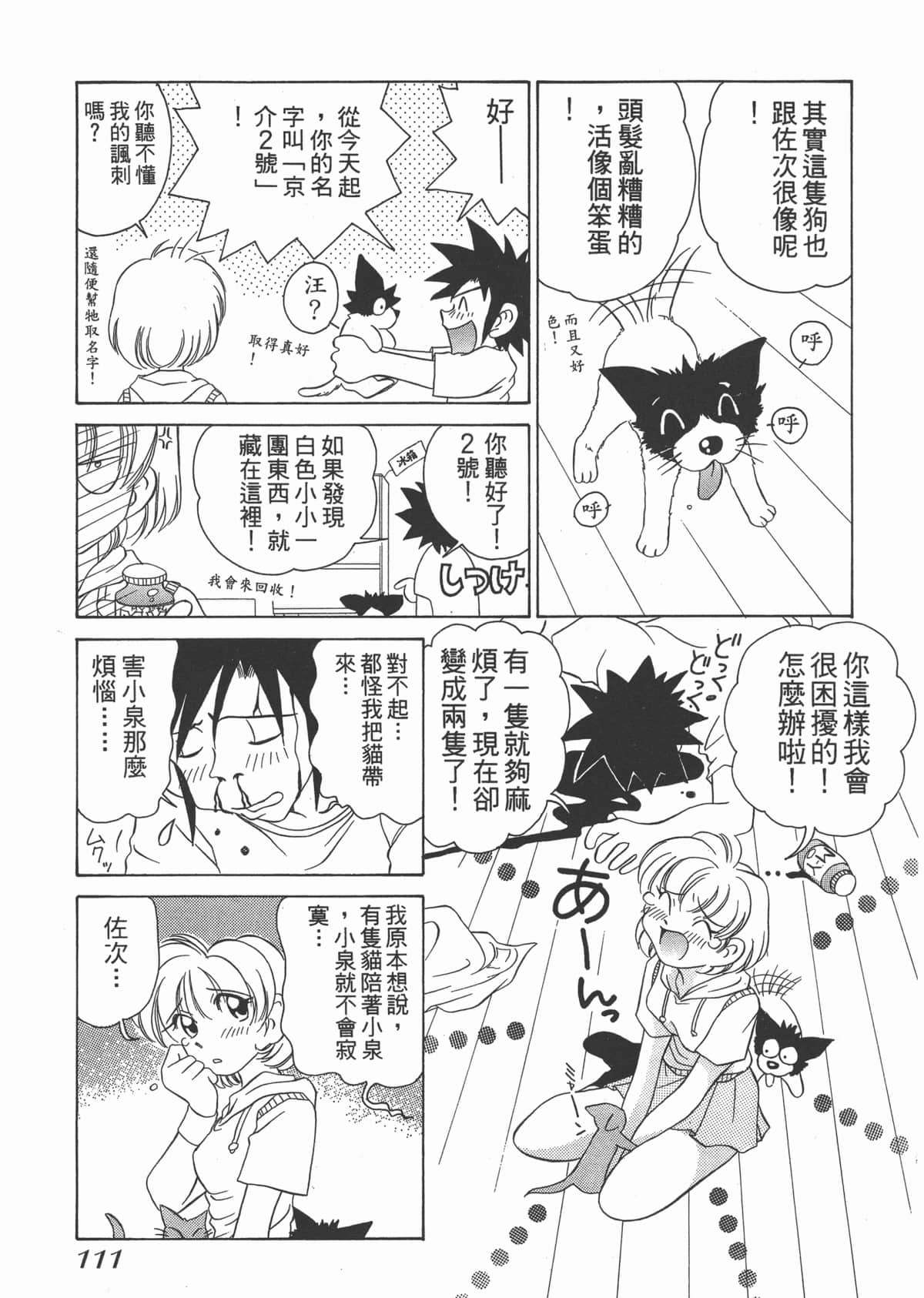 Page 113