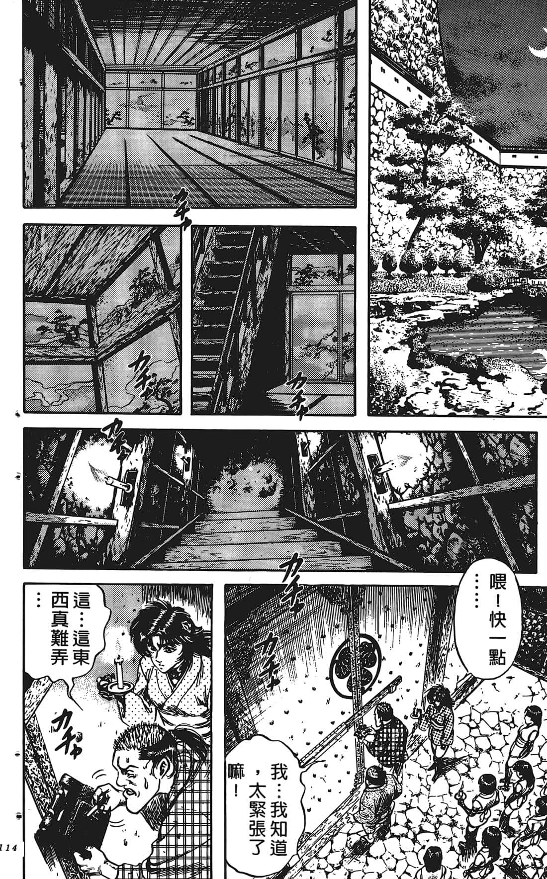 Page 113