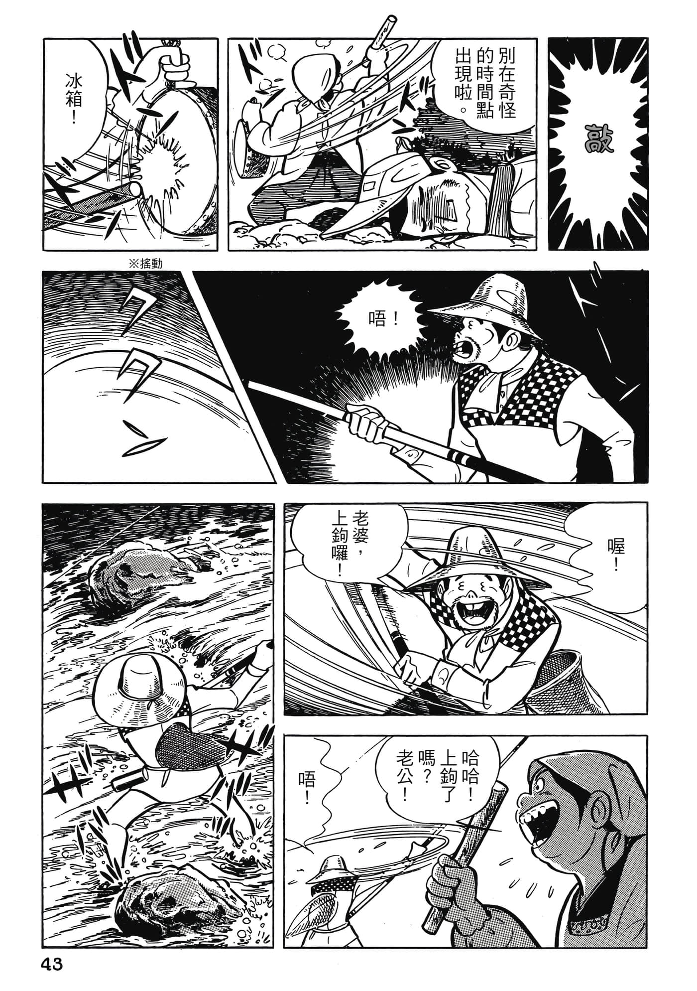 Page 43