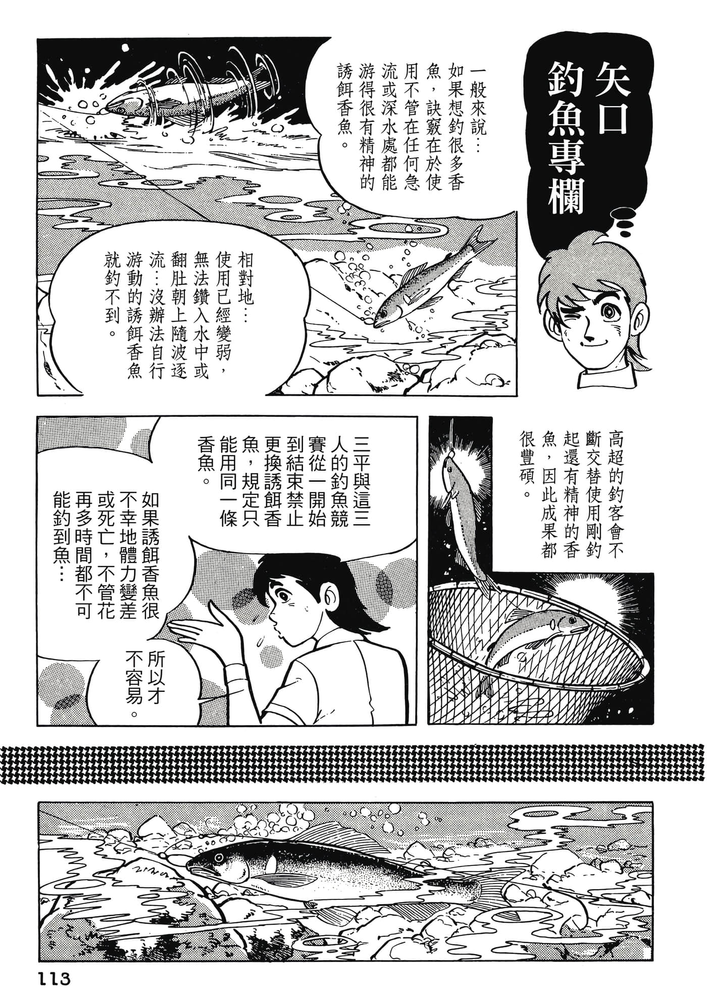 Page 113