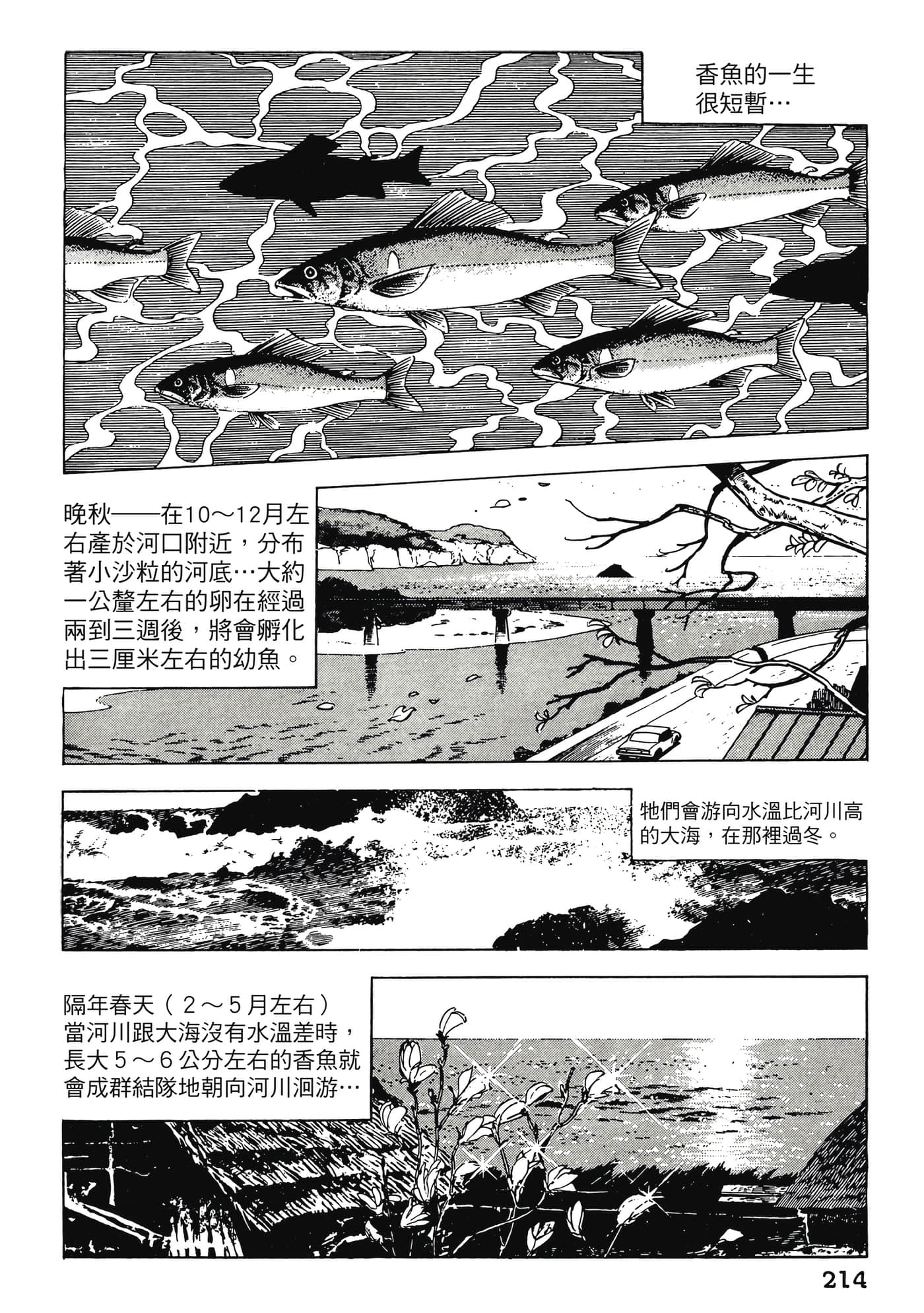 Page 214