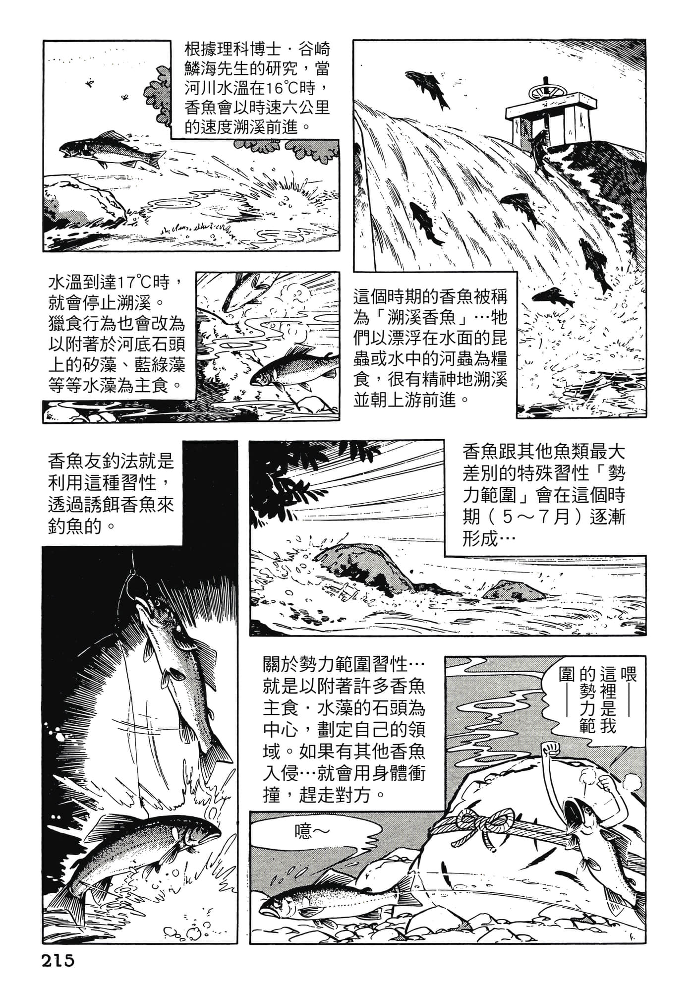 Page 215