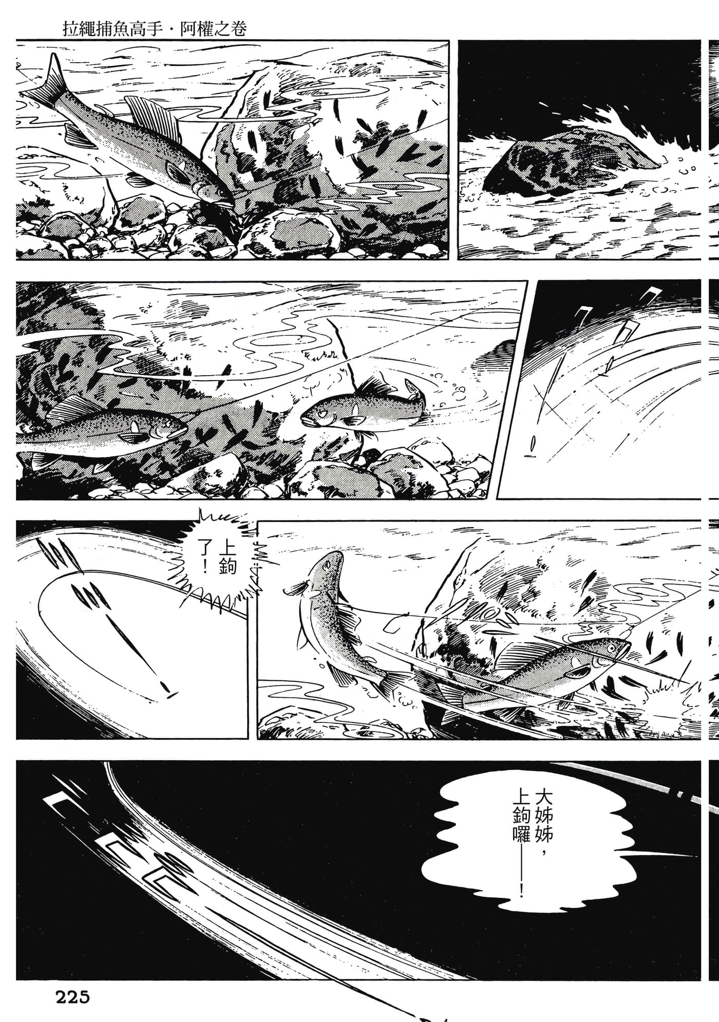 Page 225