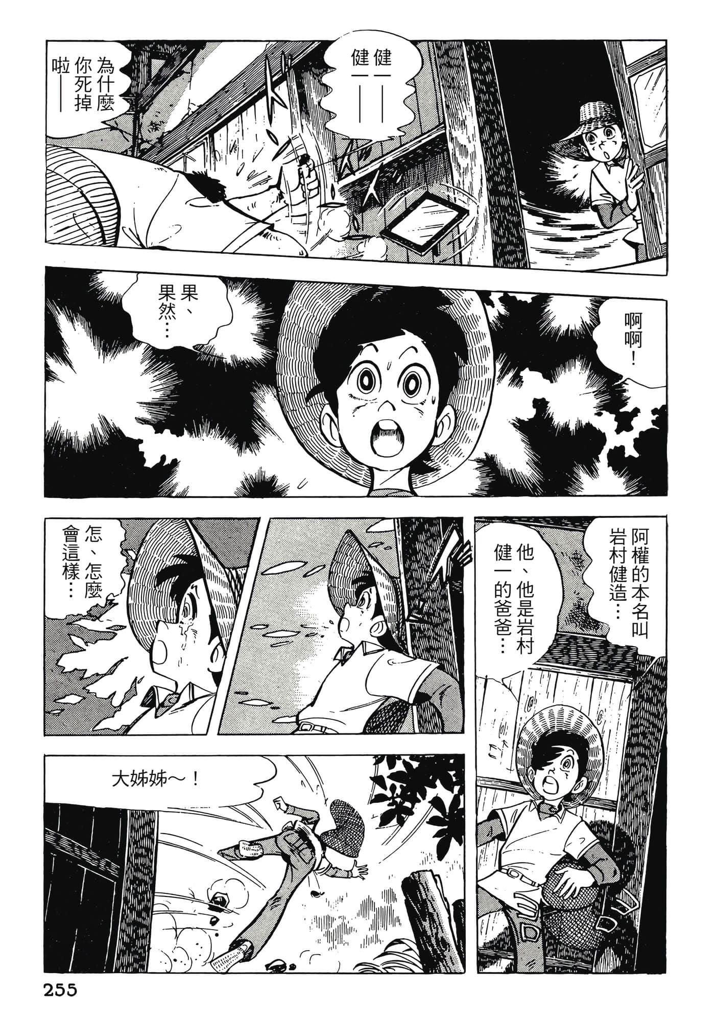 Page 255