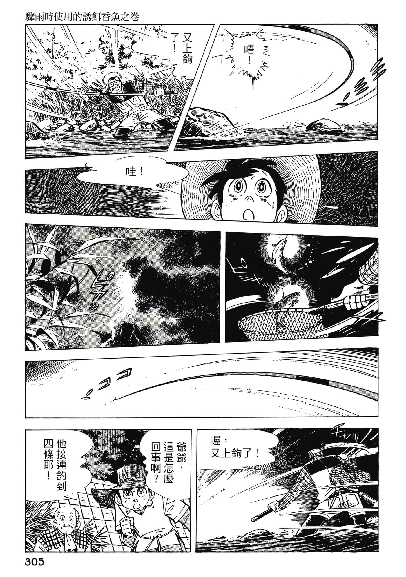 Page 305