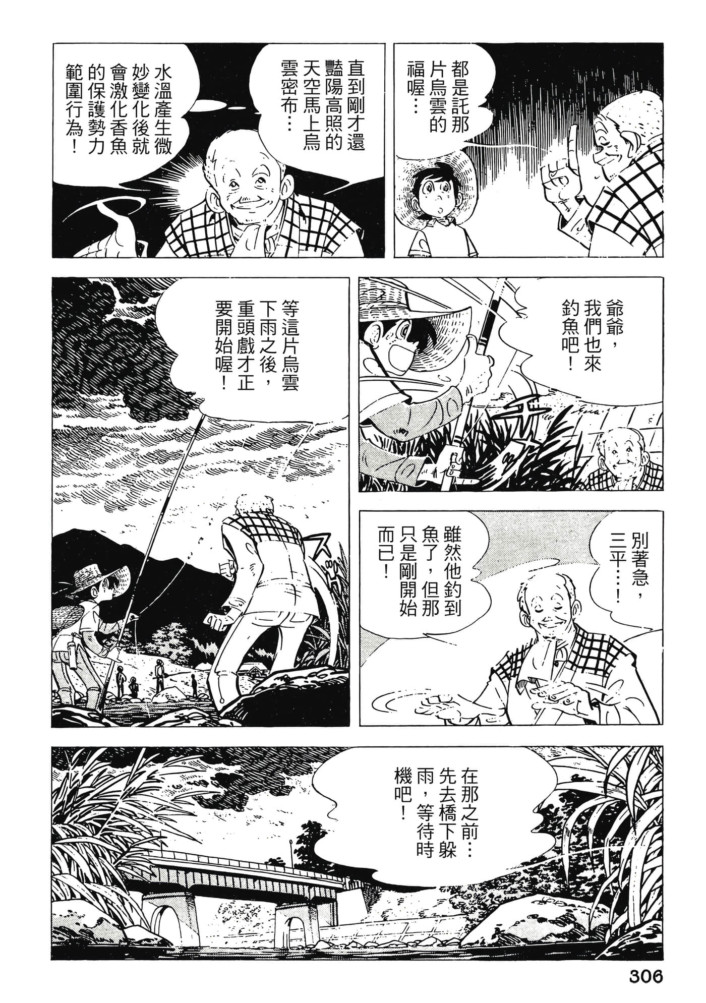 Page 306