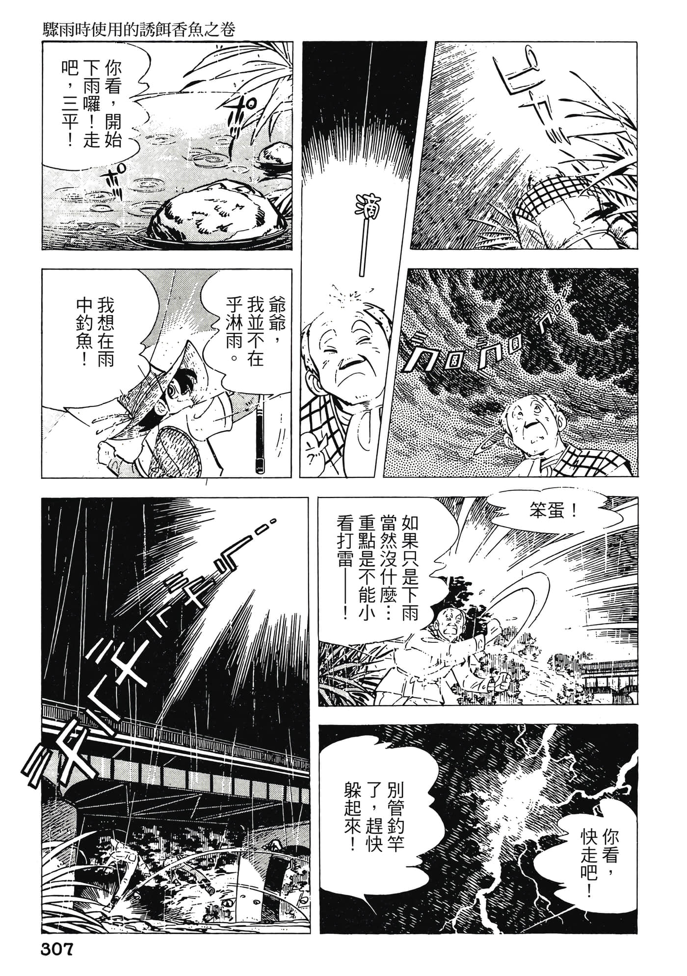 Page 307