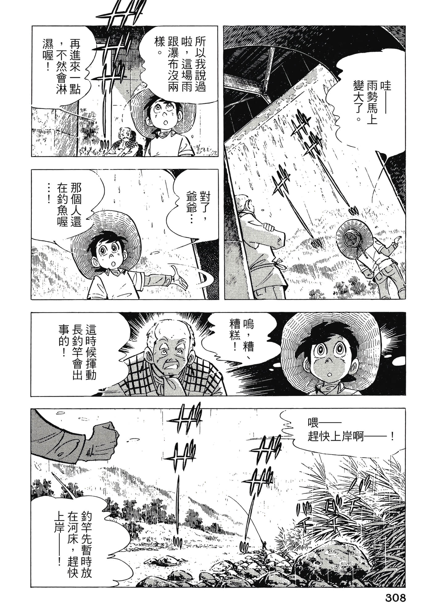 Page 308