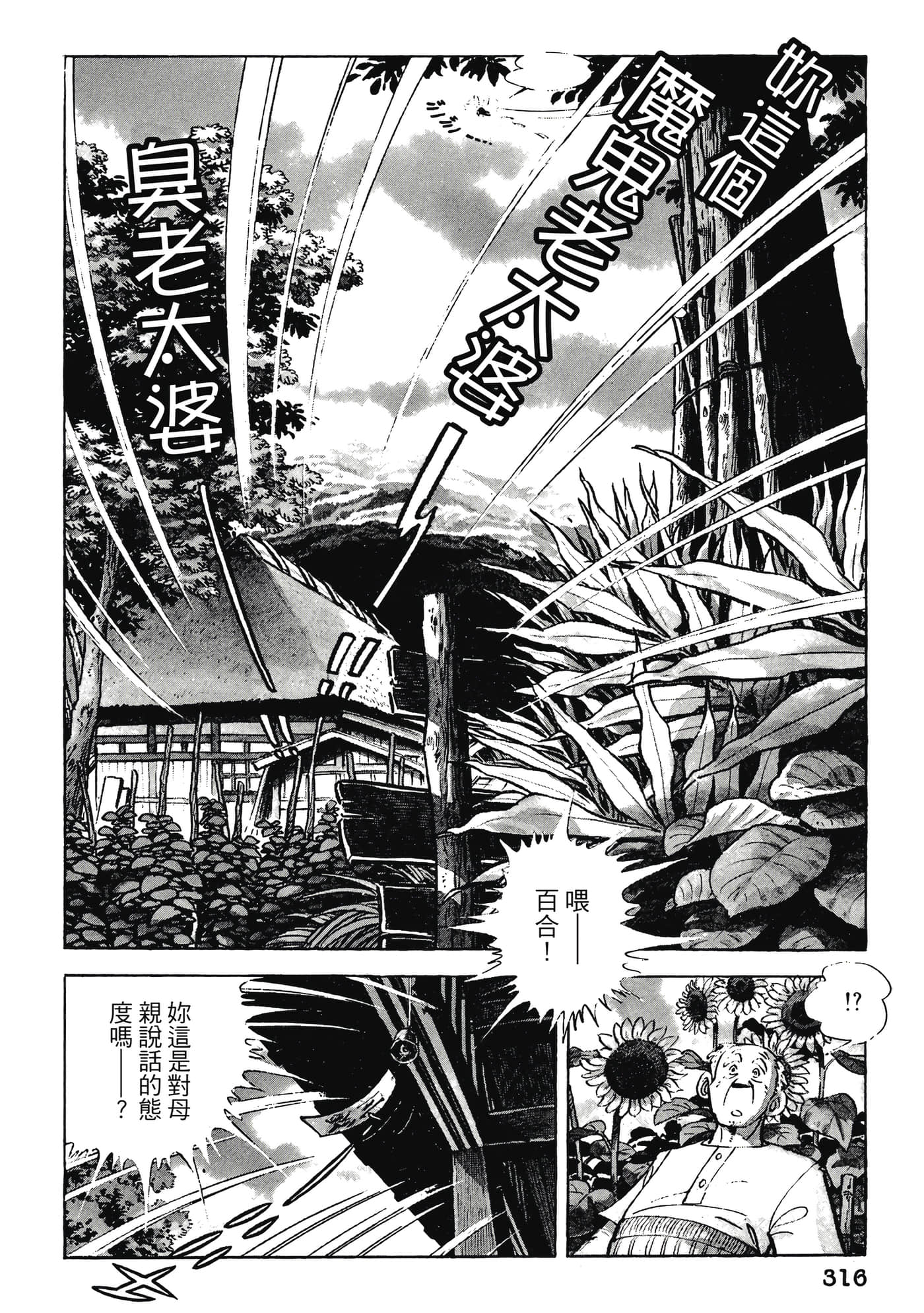 Page 316