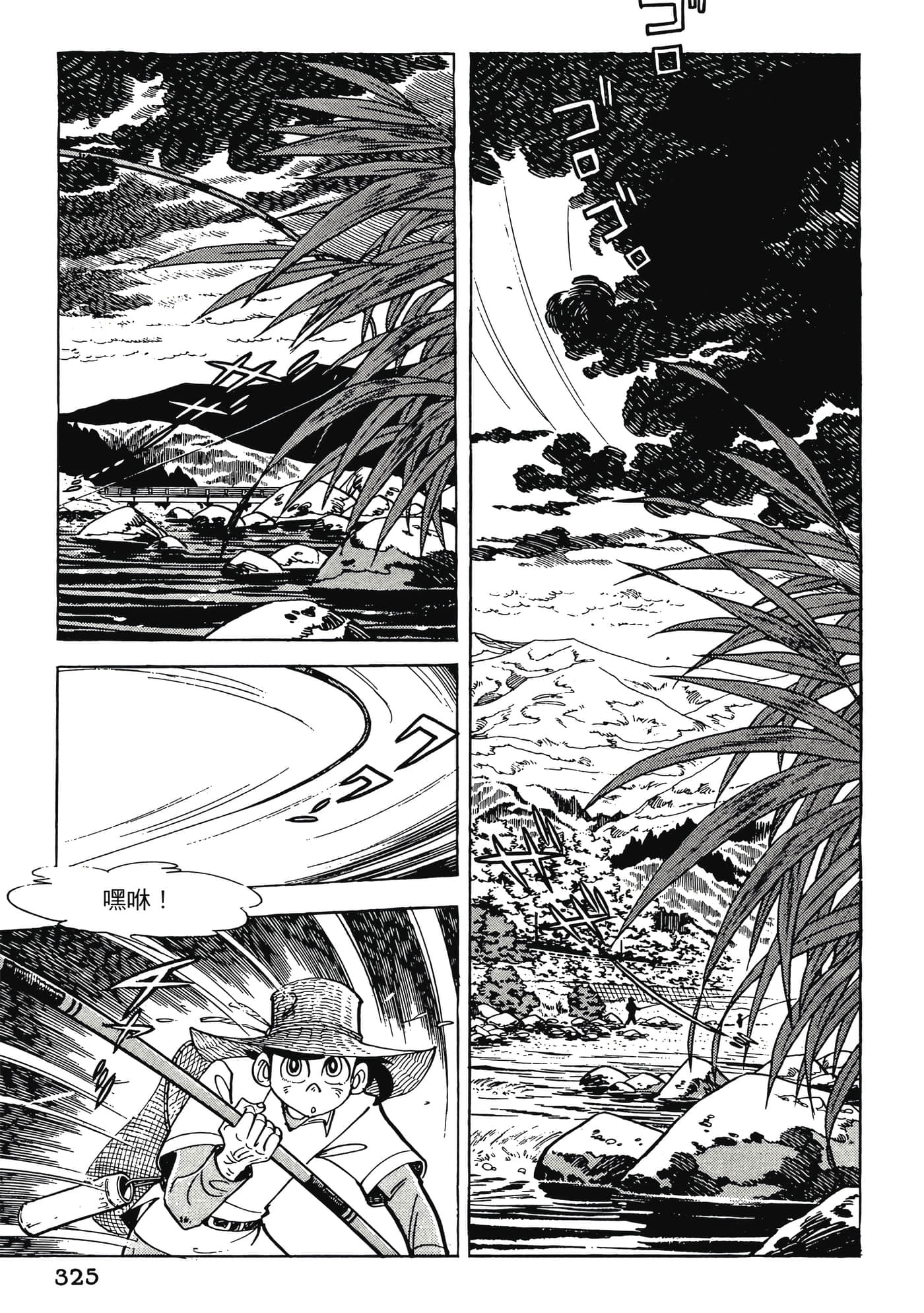 Page 325
