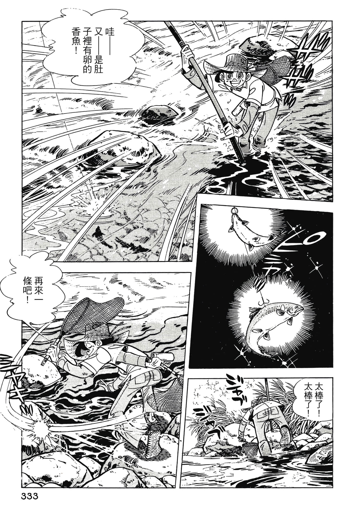 Page 333
