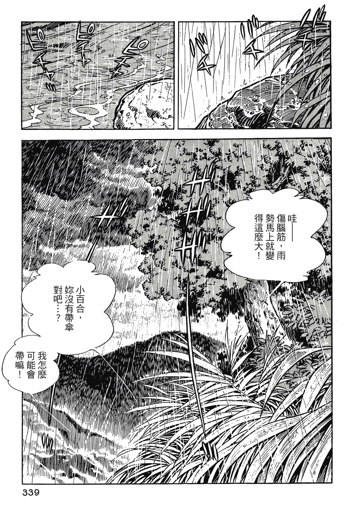 Page 339