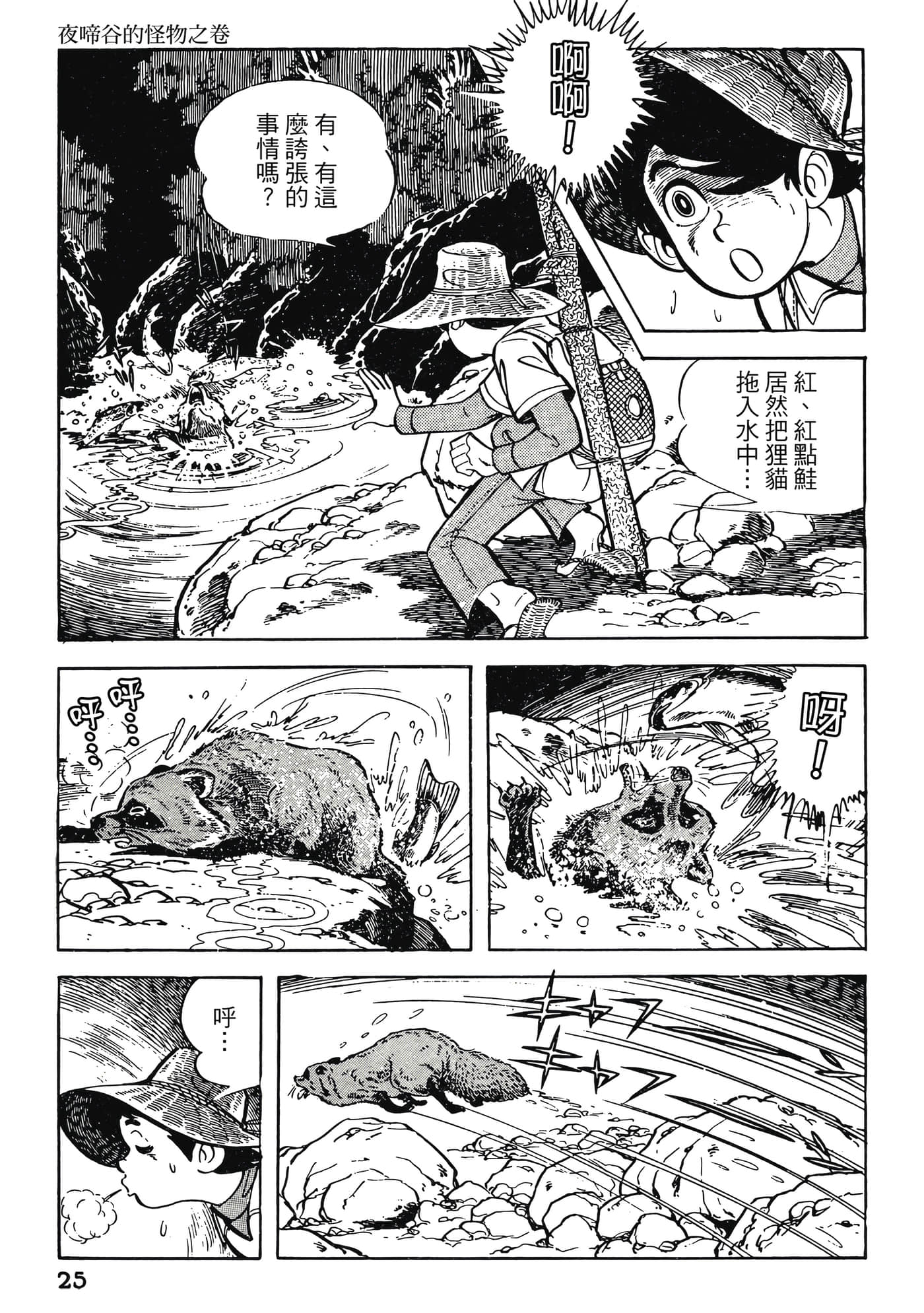 Page 25