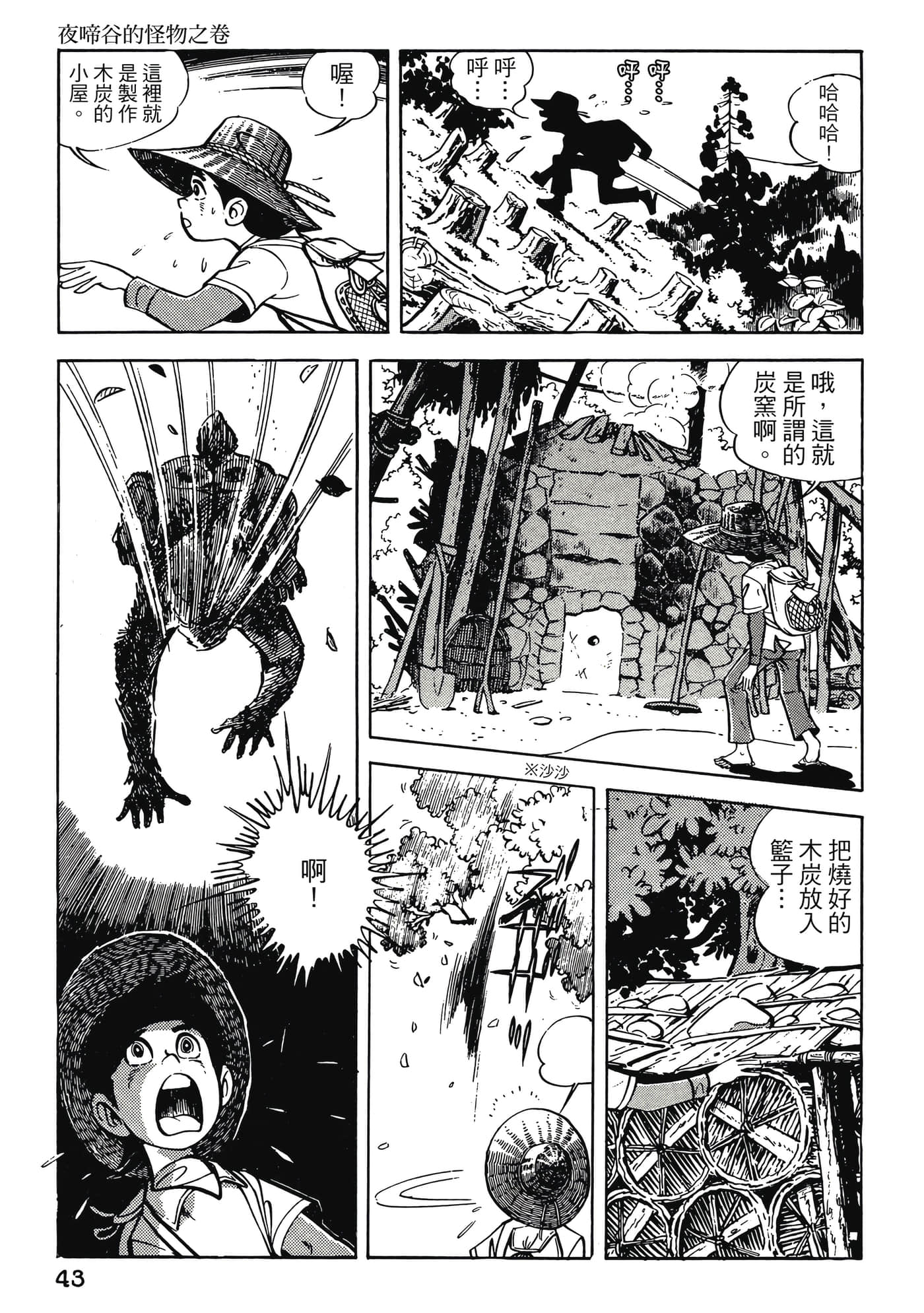 Page 43