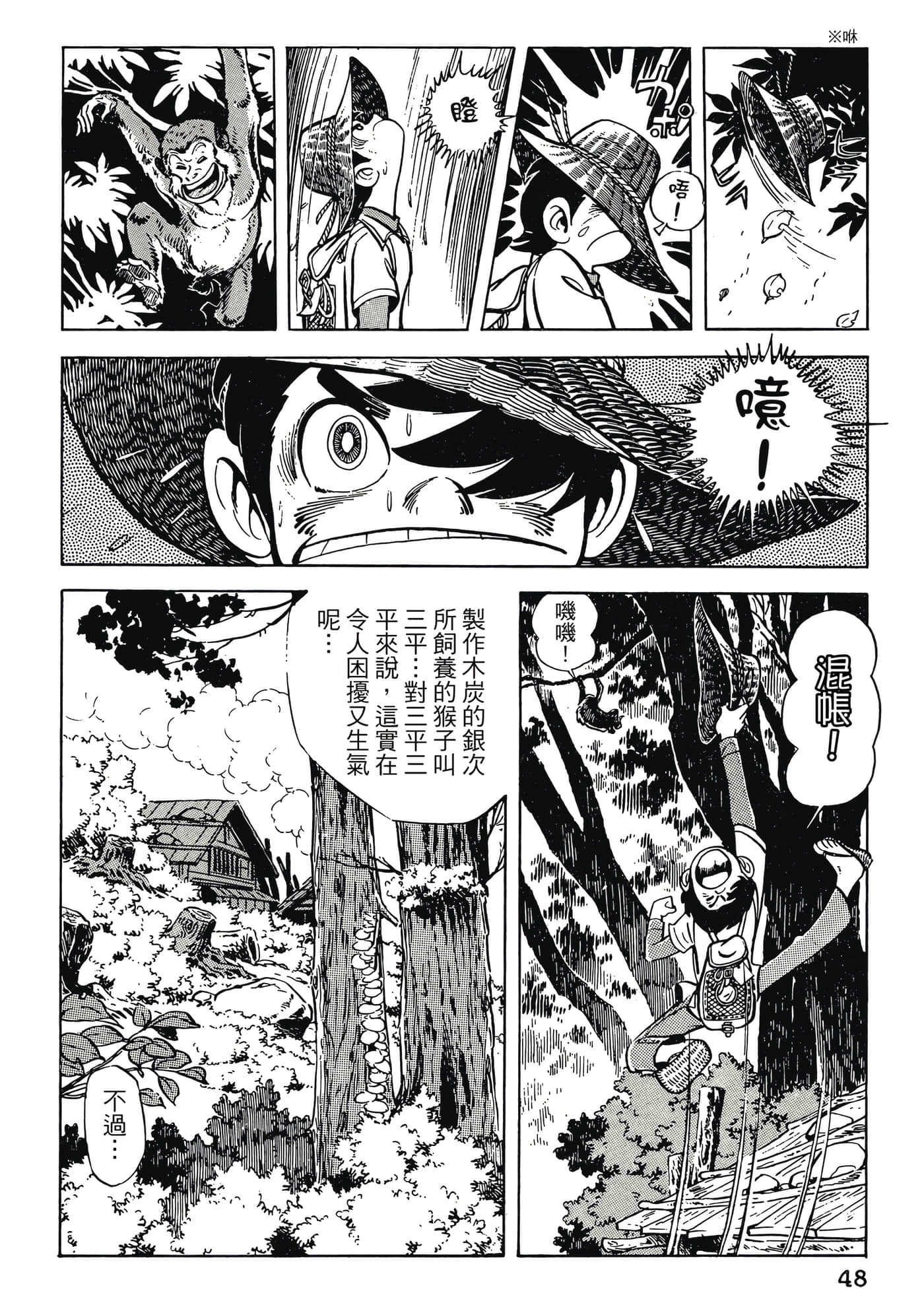 Page 48