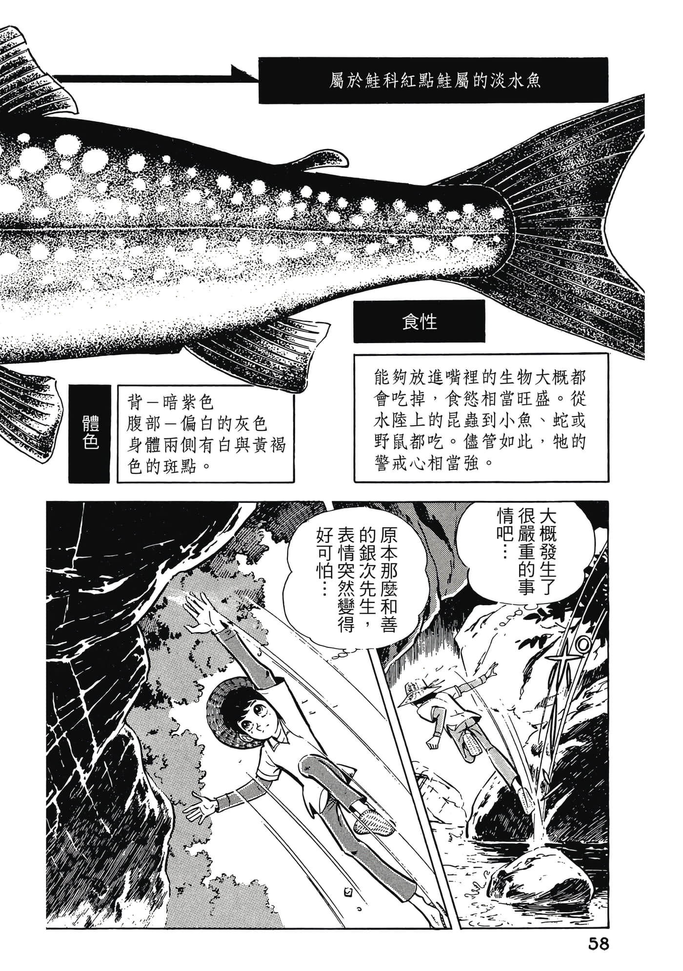 Page 58