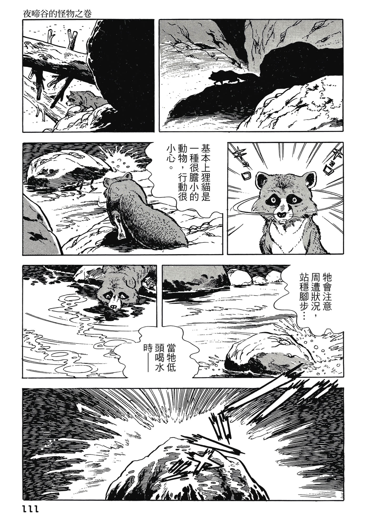 Page 111