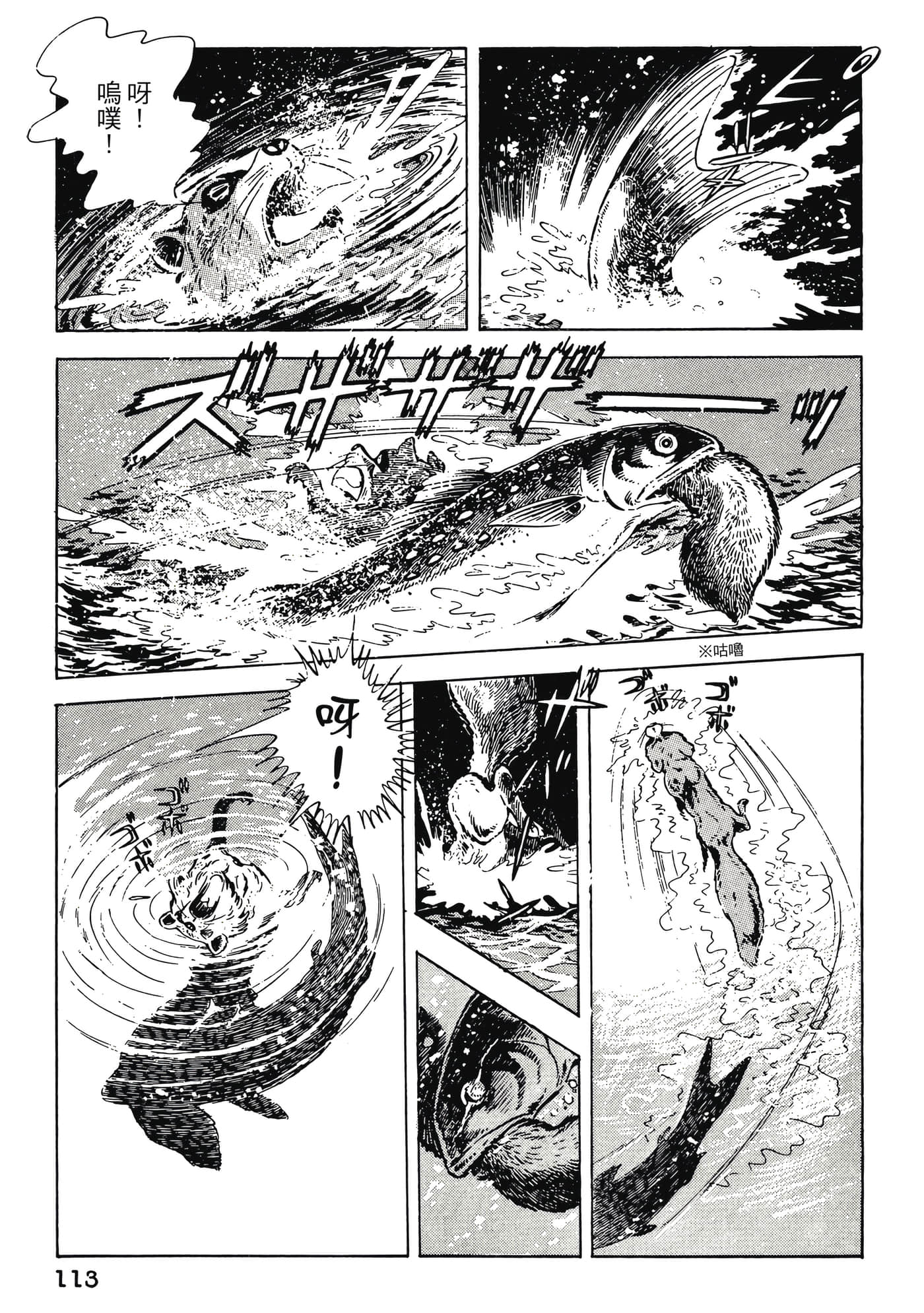 Page 113