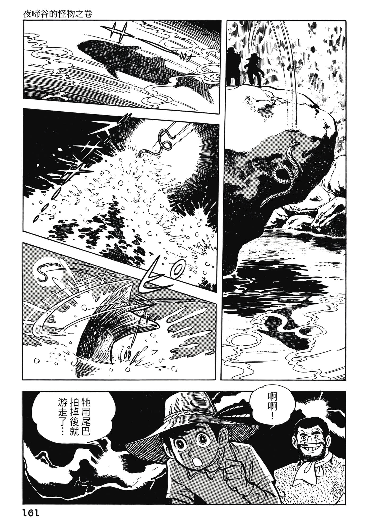 Page 161