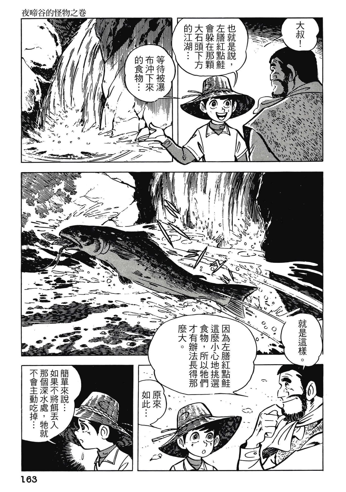 Page 163