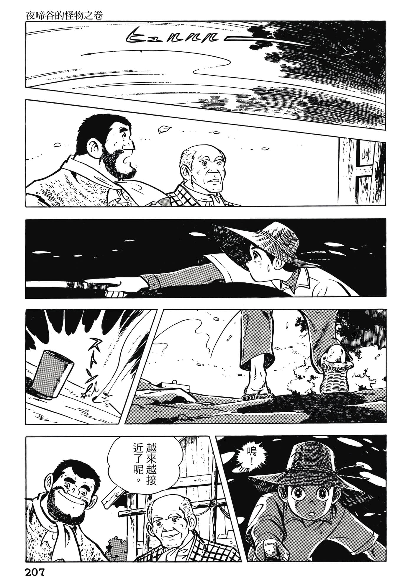 Page 207