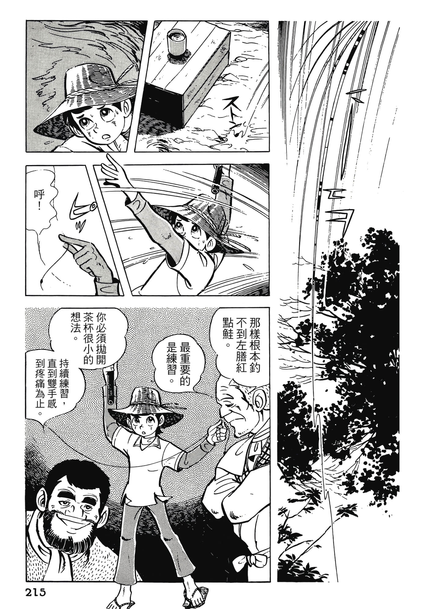 Page 215