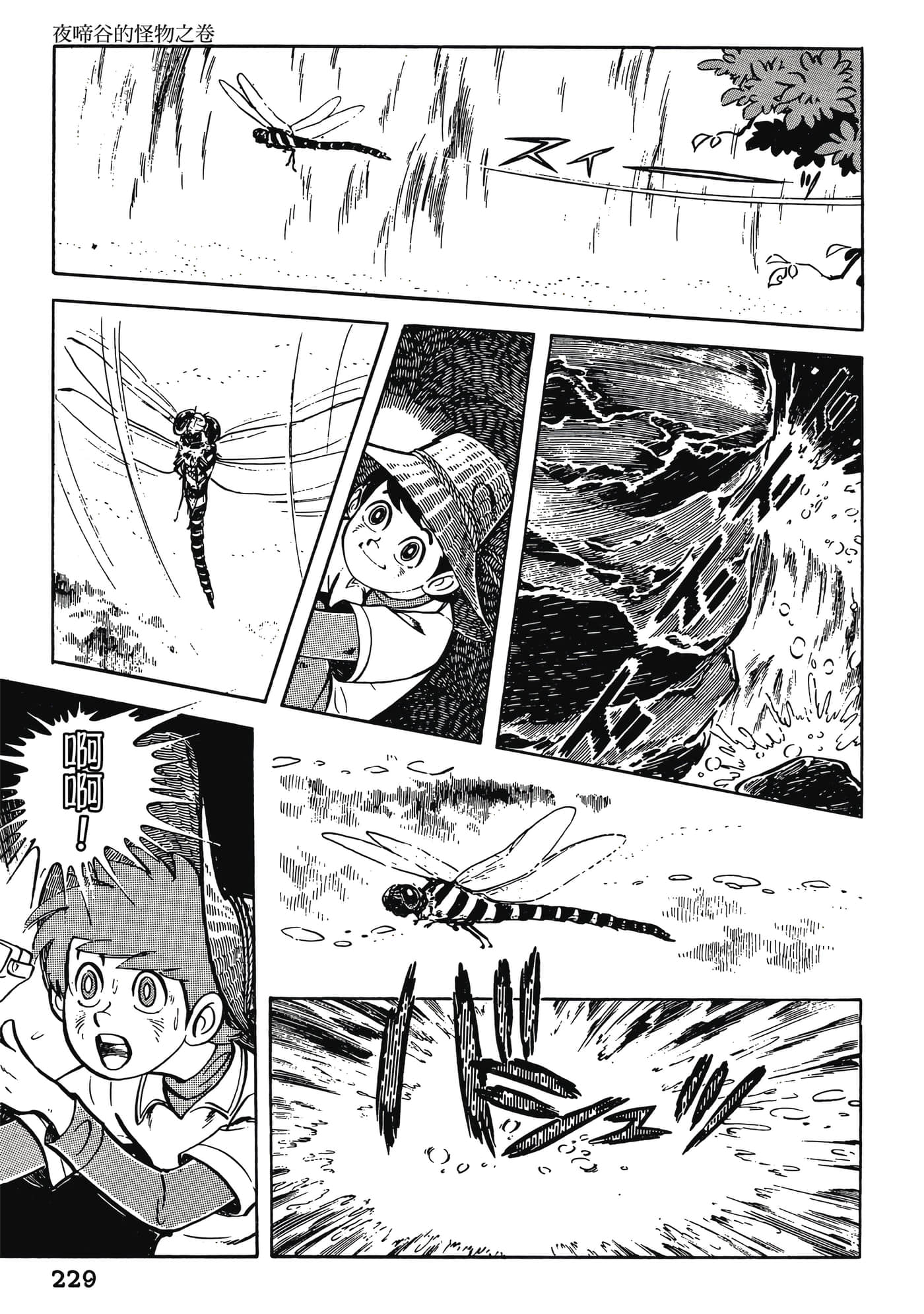 Page 229