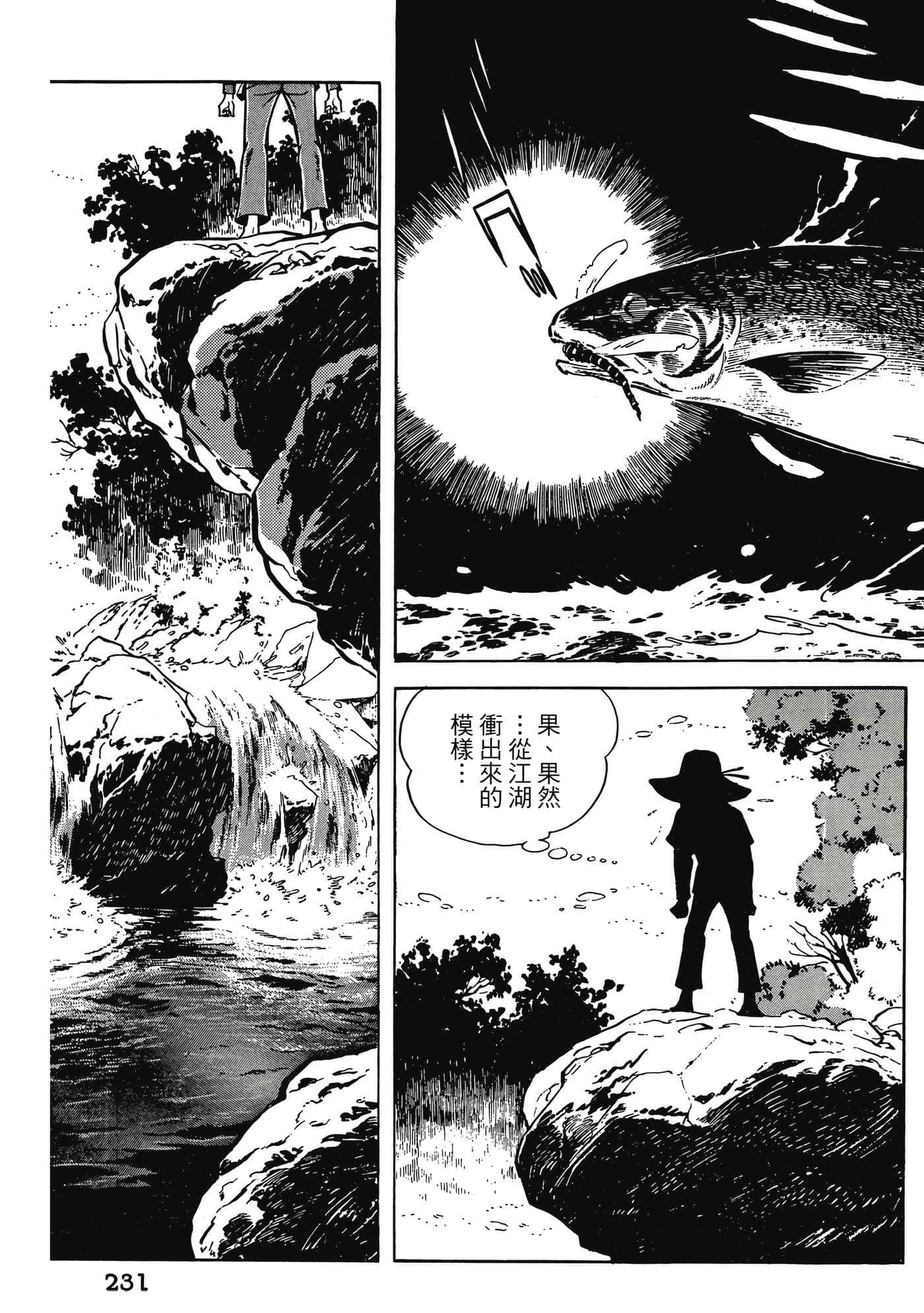 Page 231