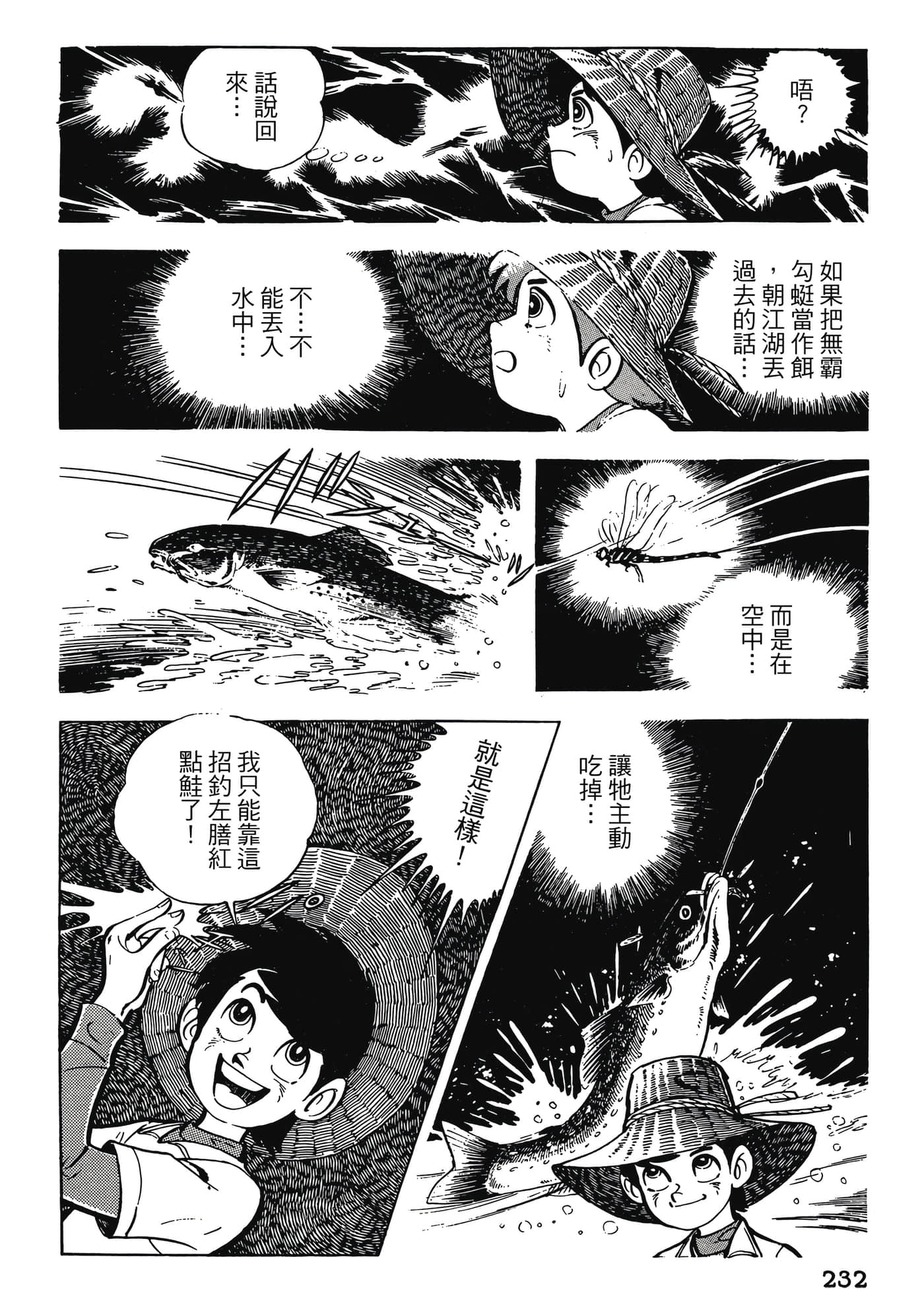 Page 232