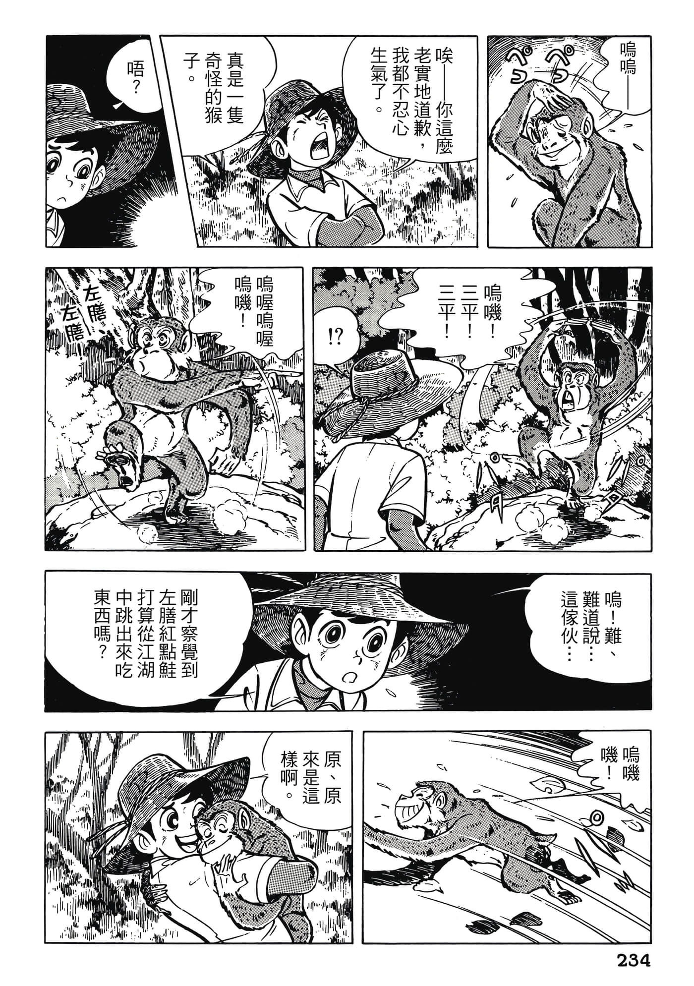 Page 234
