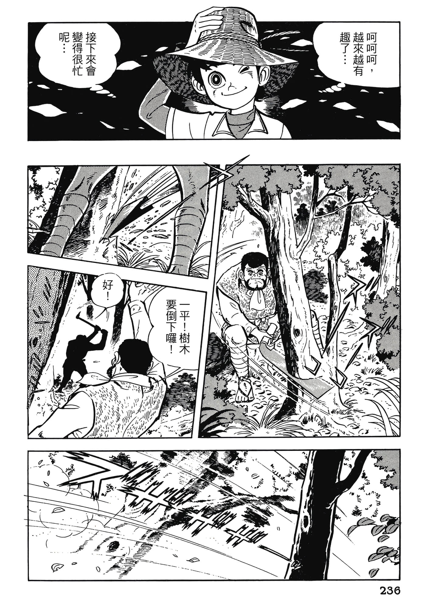 Page 236