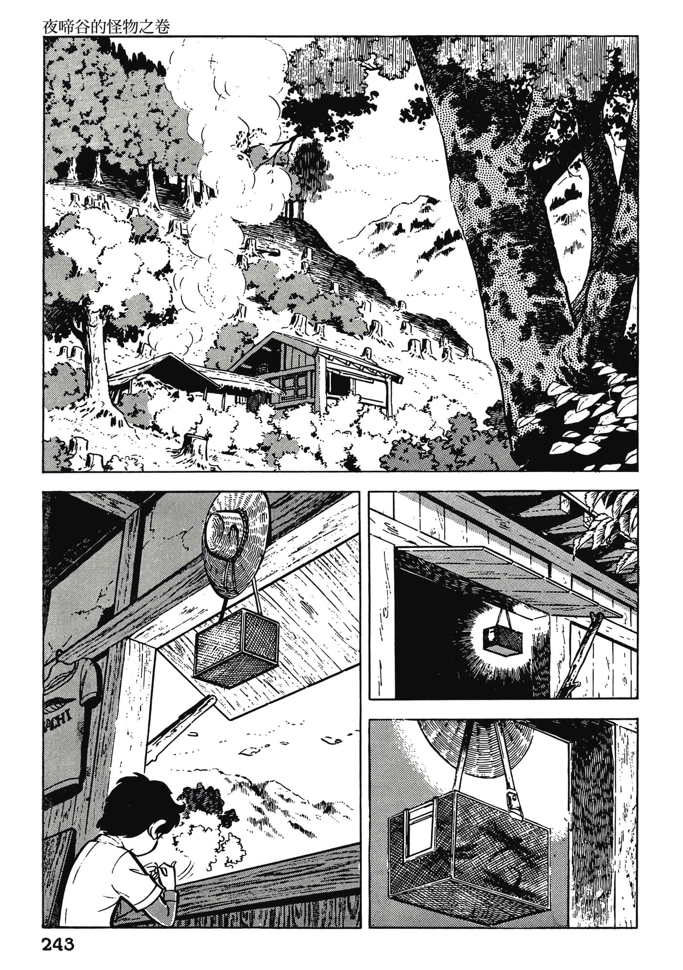 Page 243