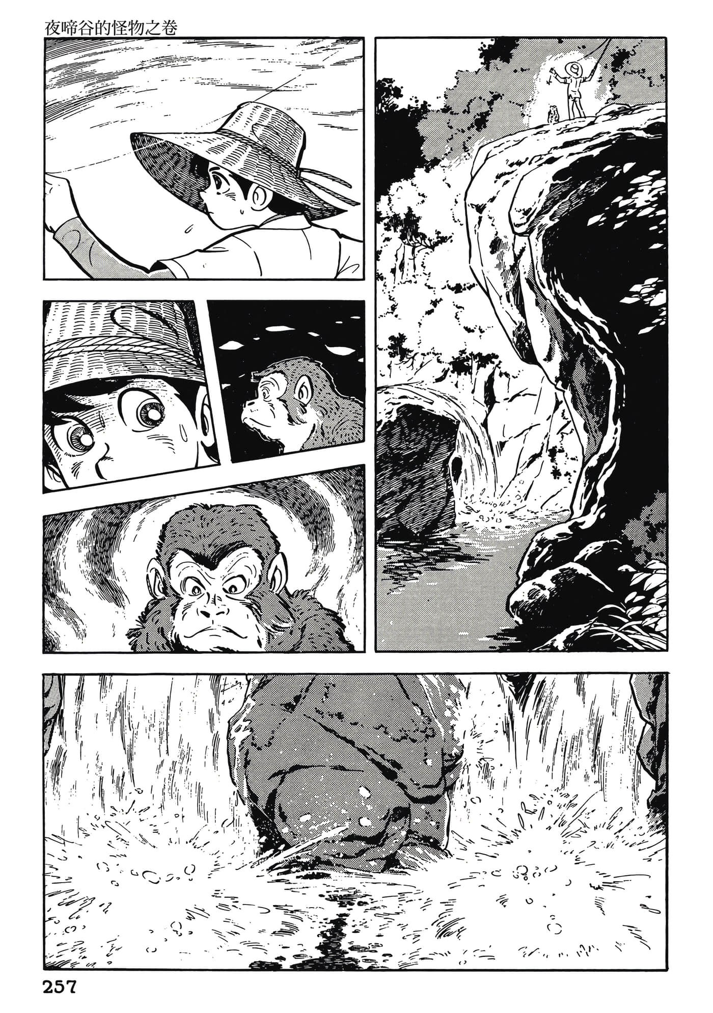 Page 257