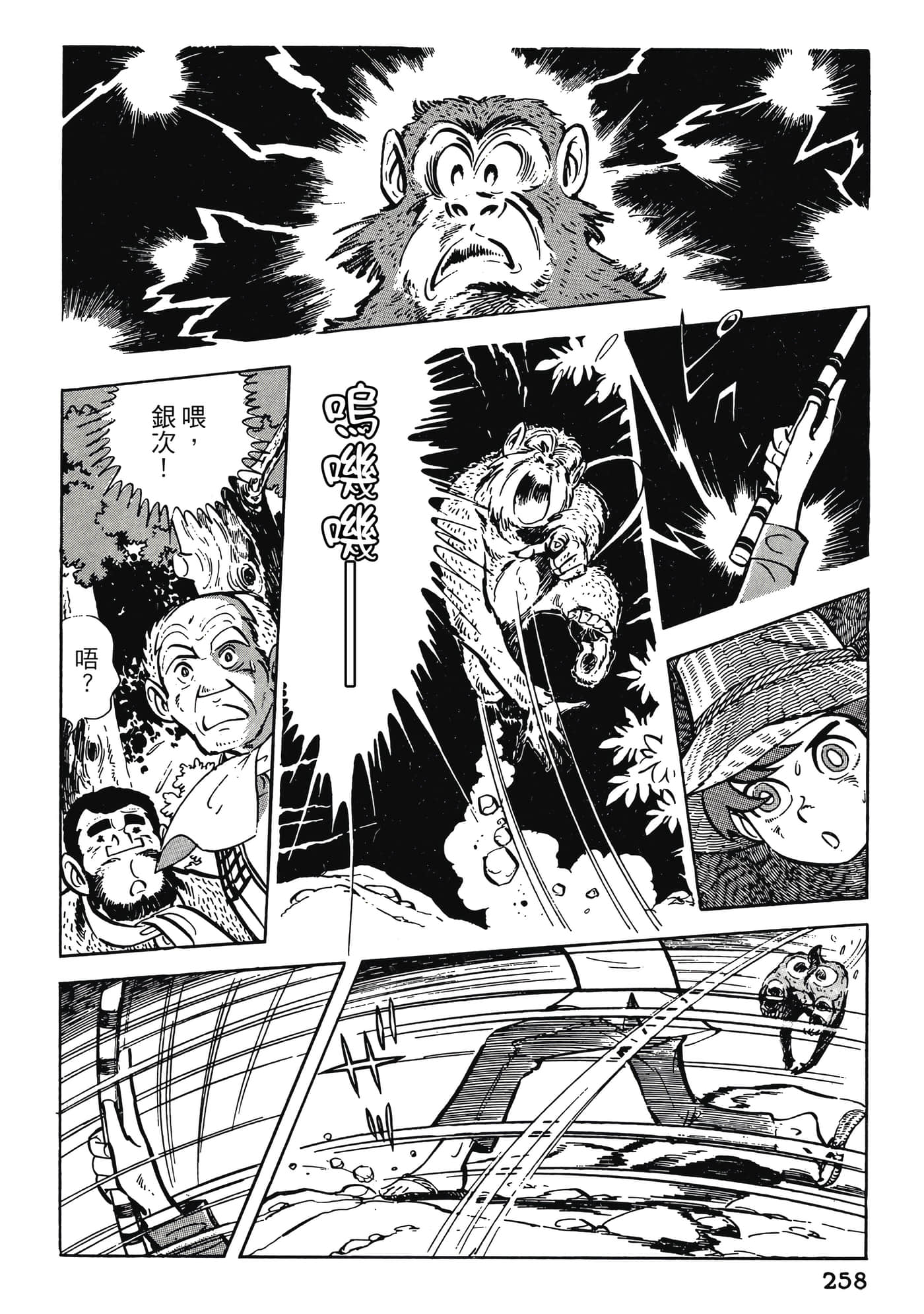 Page 258