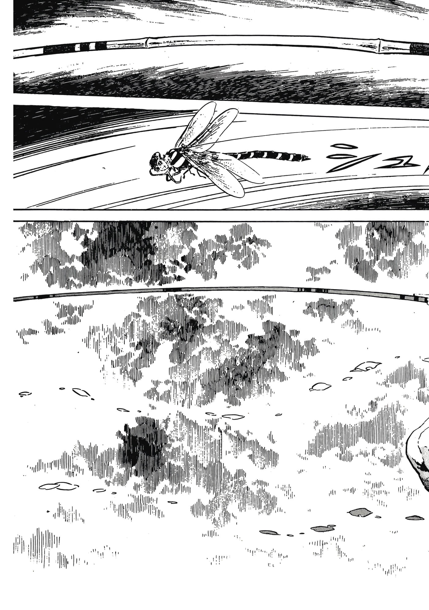Page 261