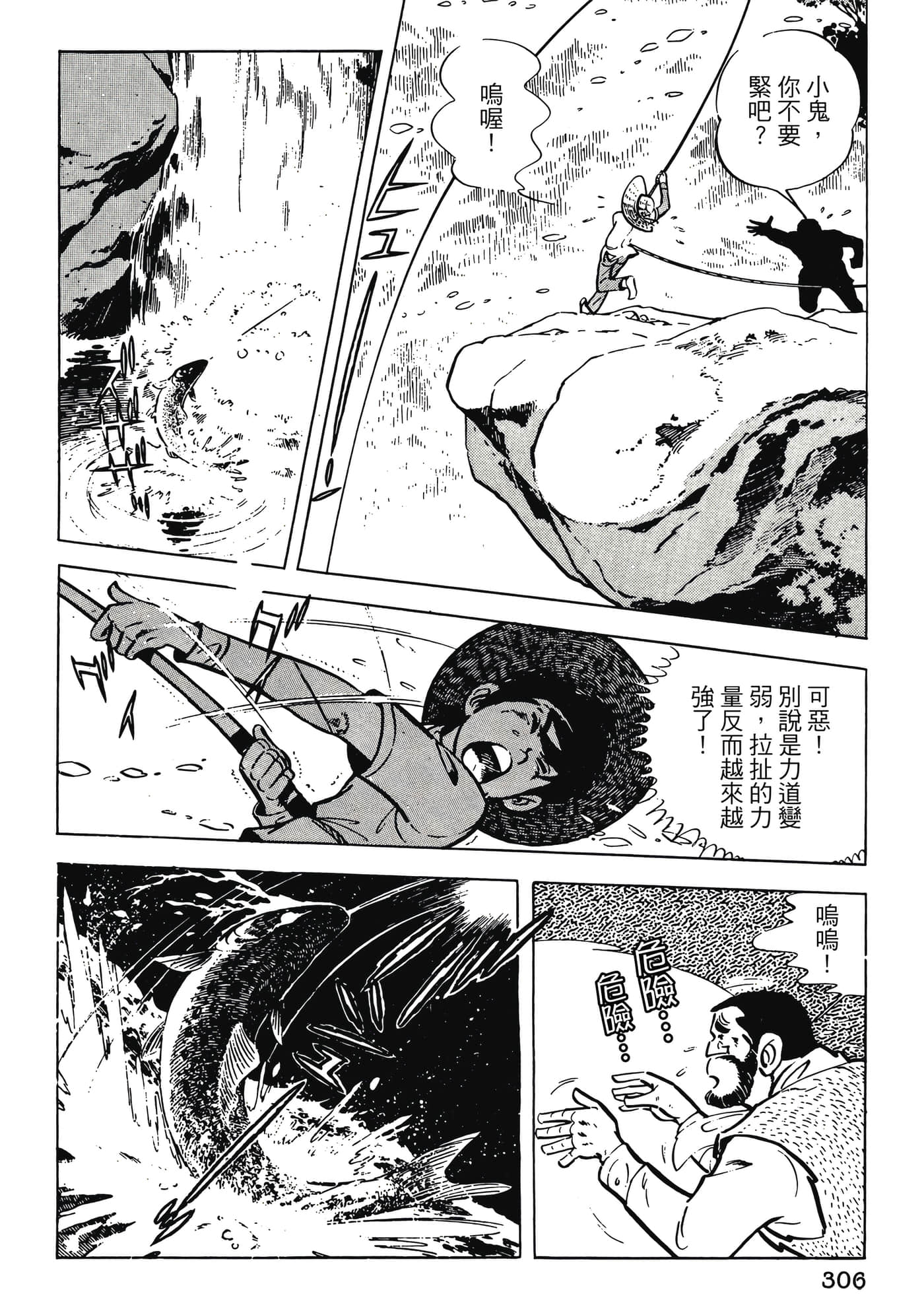 Page 306