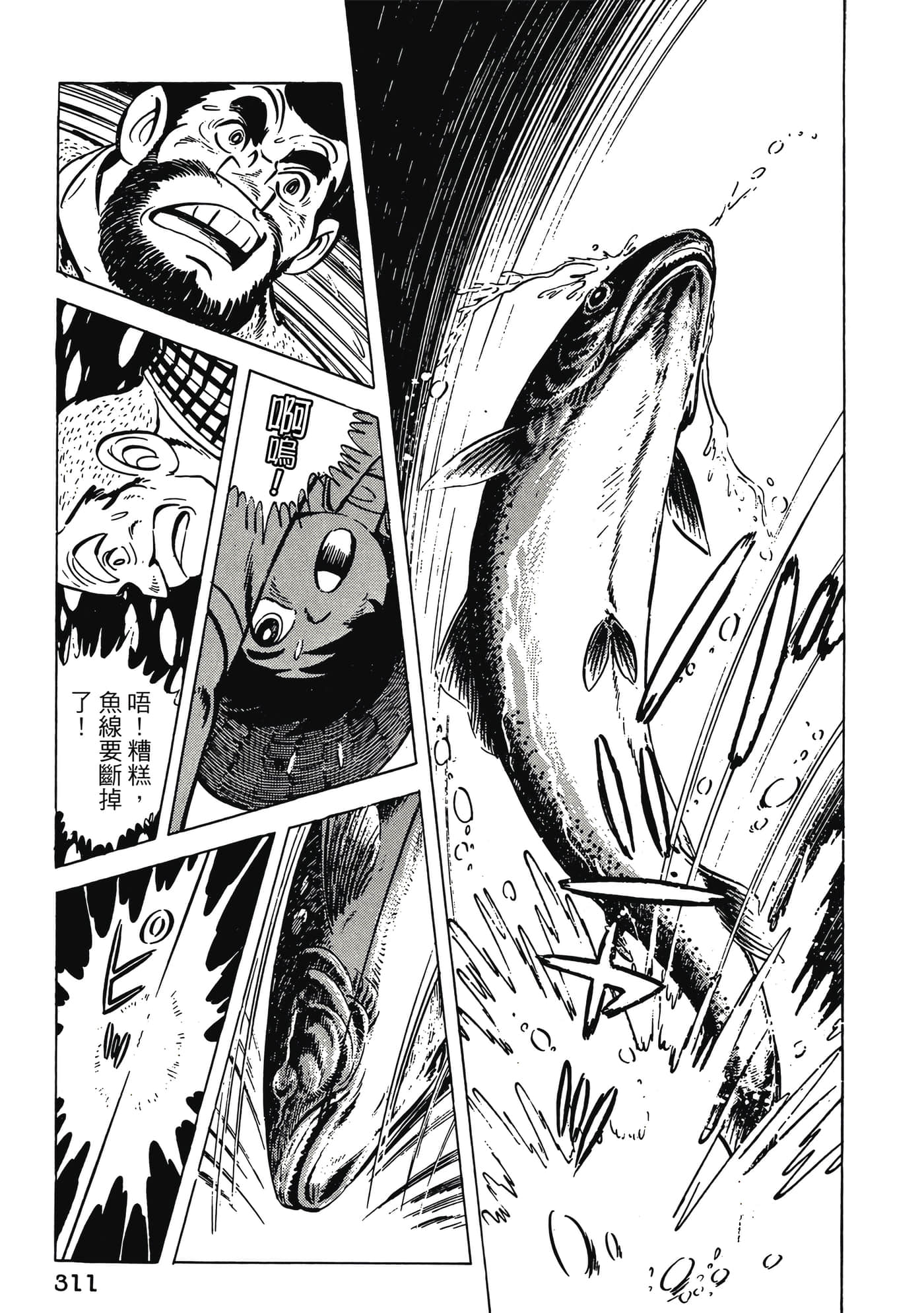 Page 311